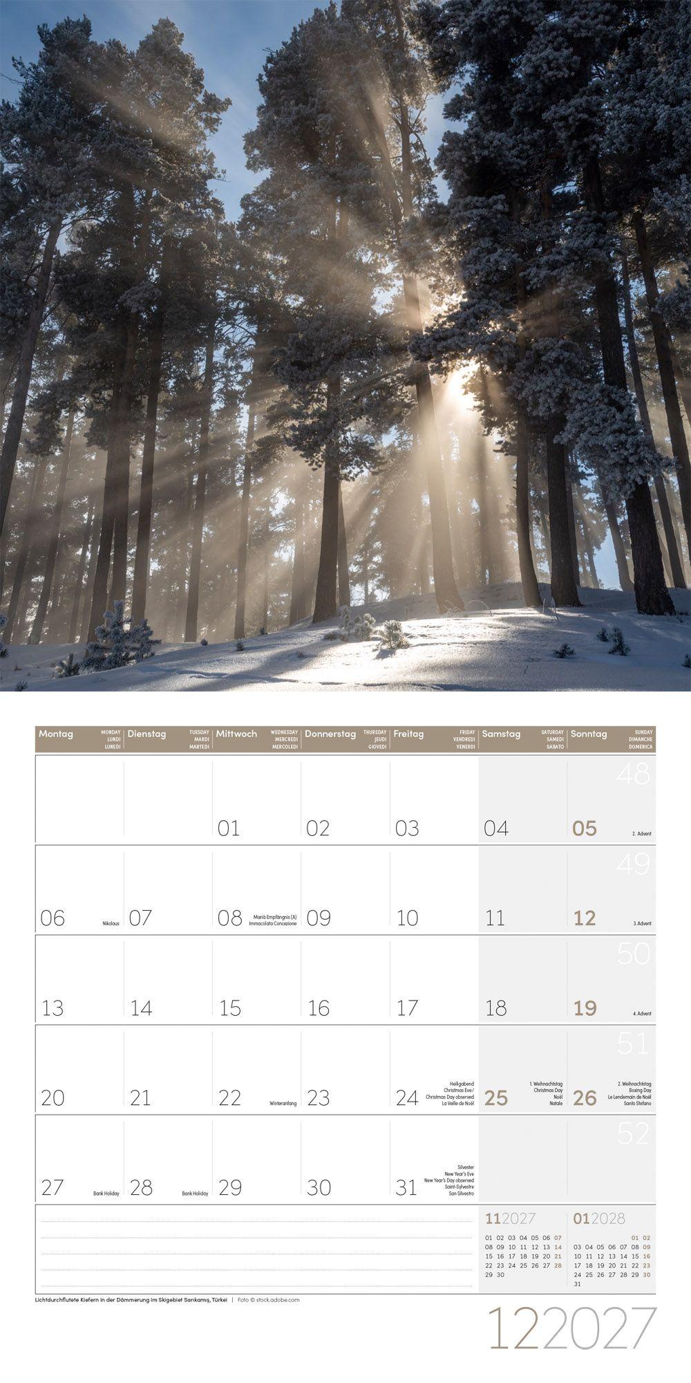 Beispielinhalt (Bild) Zauber des Waldes Kalender 2027 - 30x30 - Art12