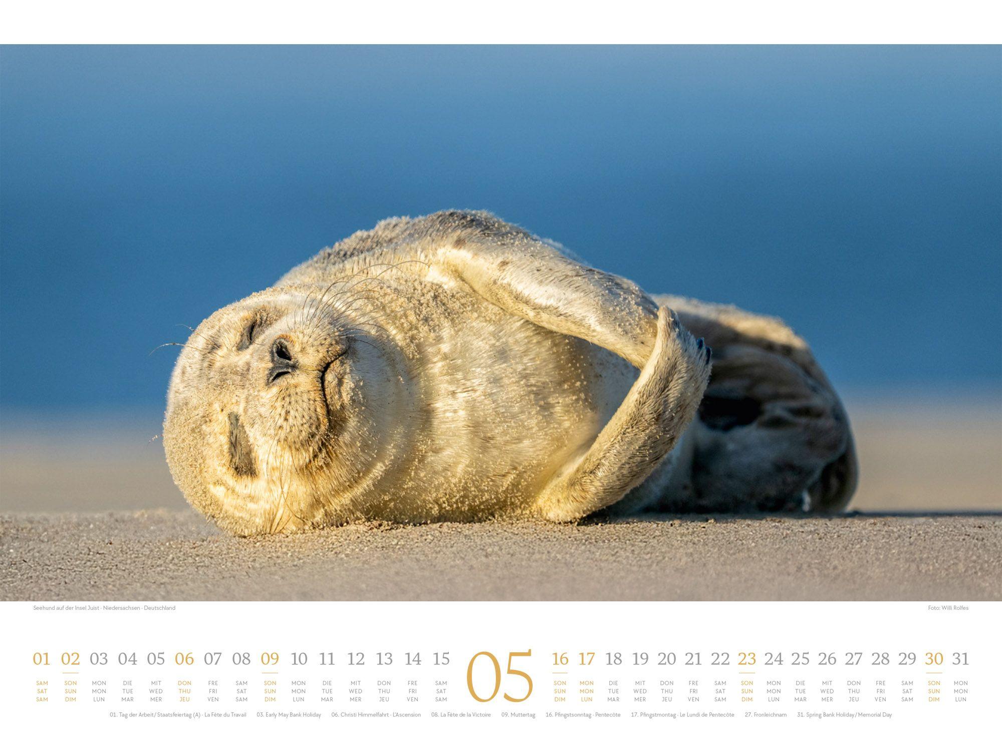 Beispielinhalt (Bild) Tage am Meer Kalender 2027