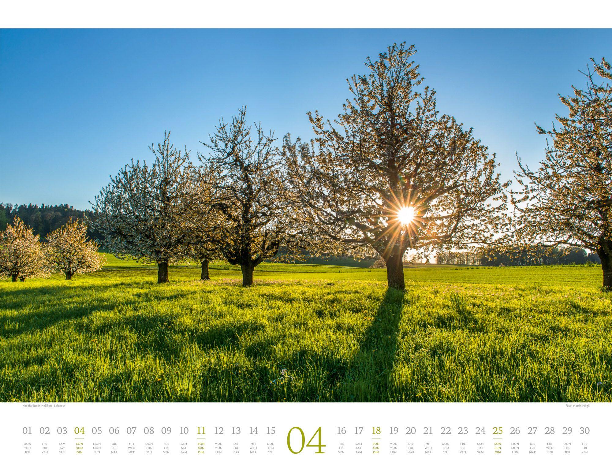 Beispielinhalt (Bild) Morgenlicht Kalender 2027