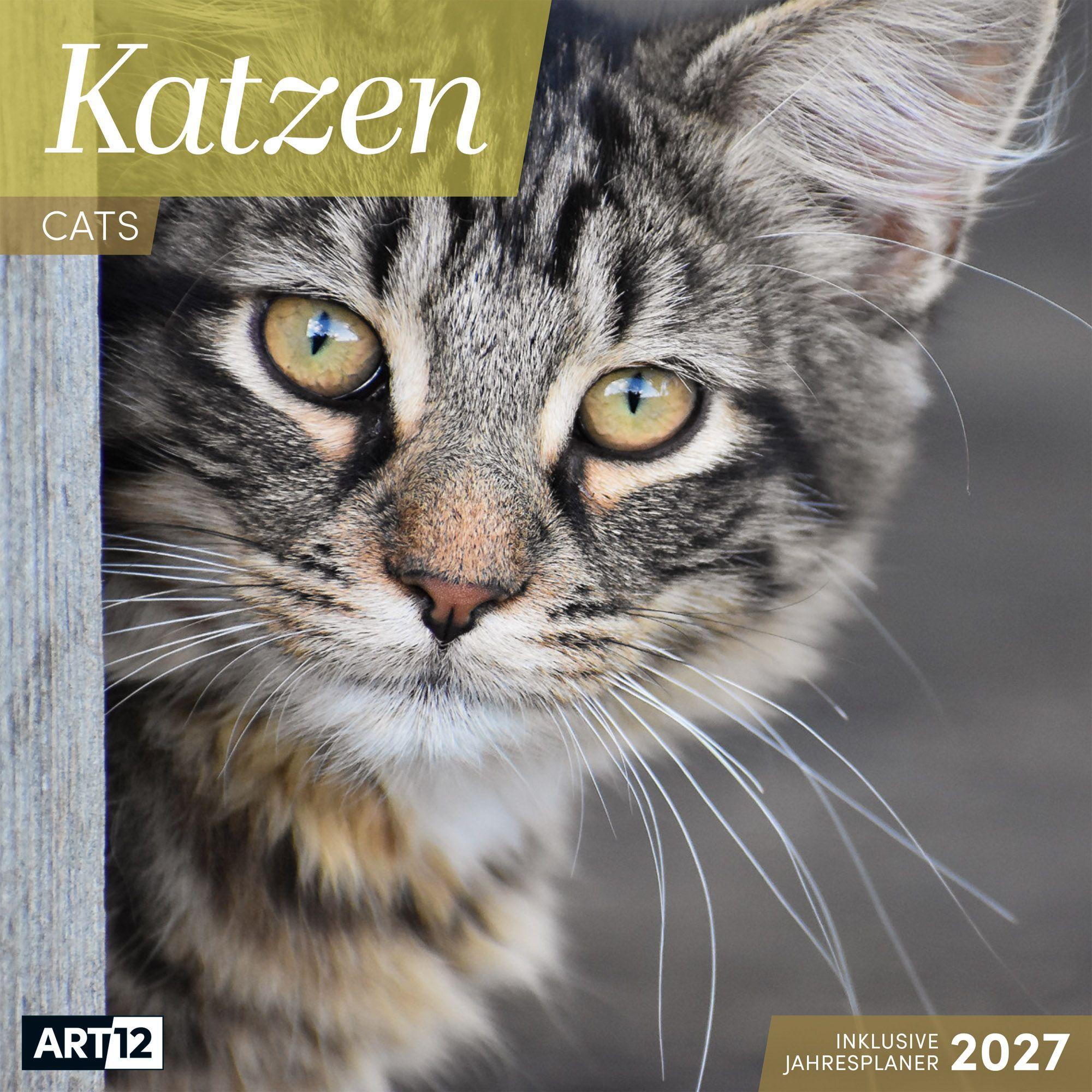 Vorderes Coverbild Katzen Kalender 2027 - 30x30 - Art12