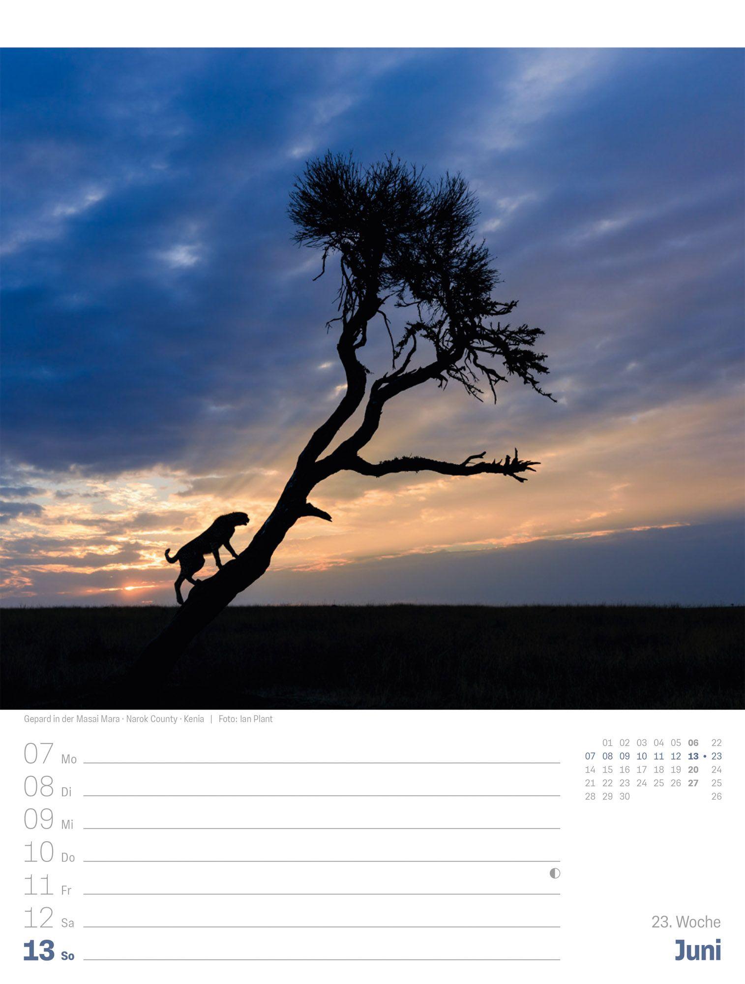 Beispielinhalt (Bild) Planet Erde Wochenplaner Kalender 2027 | Landschaften der Welt