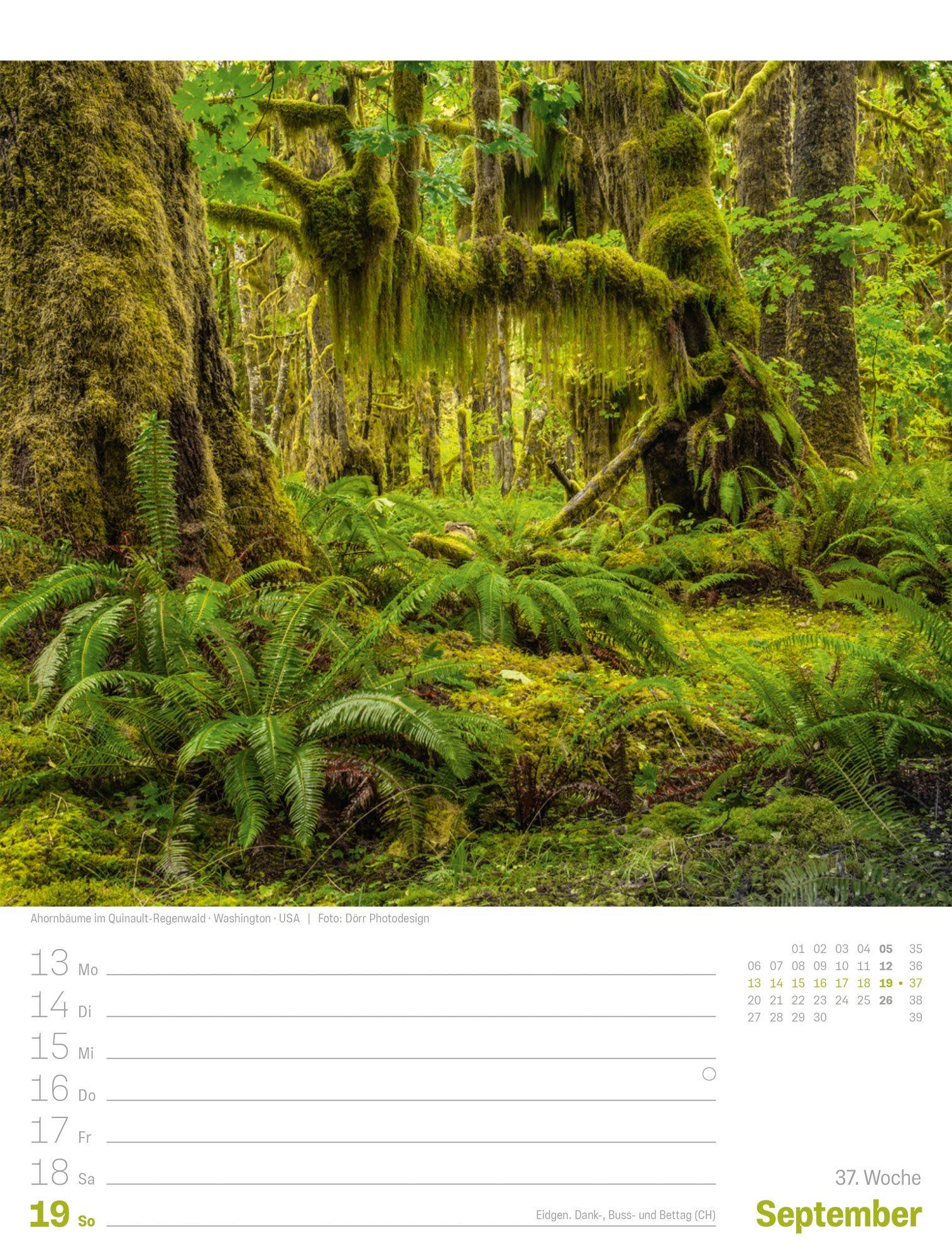 Beispielinhalt (Bild) Planet Erde Wochenplaner Kalender 2027 | Landschaften der Welt