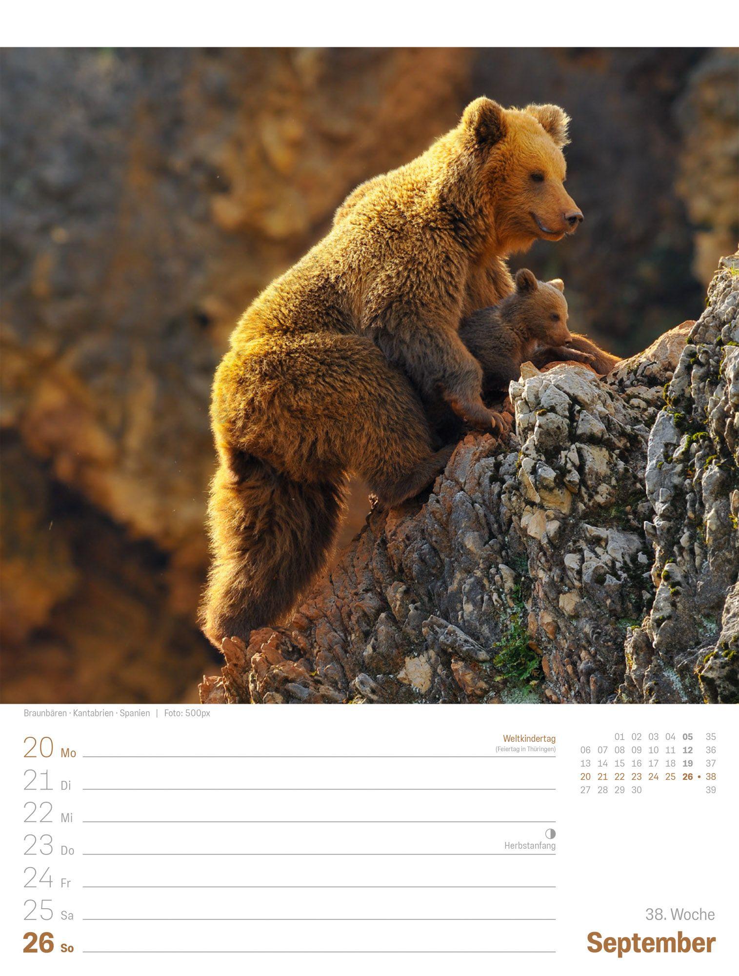 Beispielinhalt (Bild) Planet Erde Wochenplaner Kalender 2027 | Landschaften der Welt