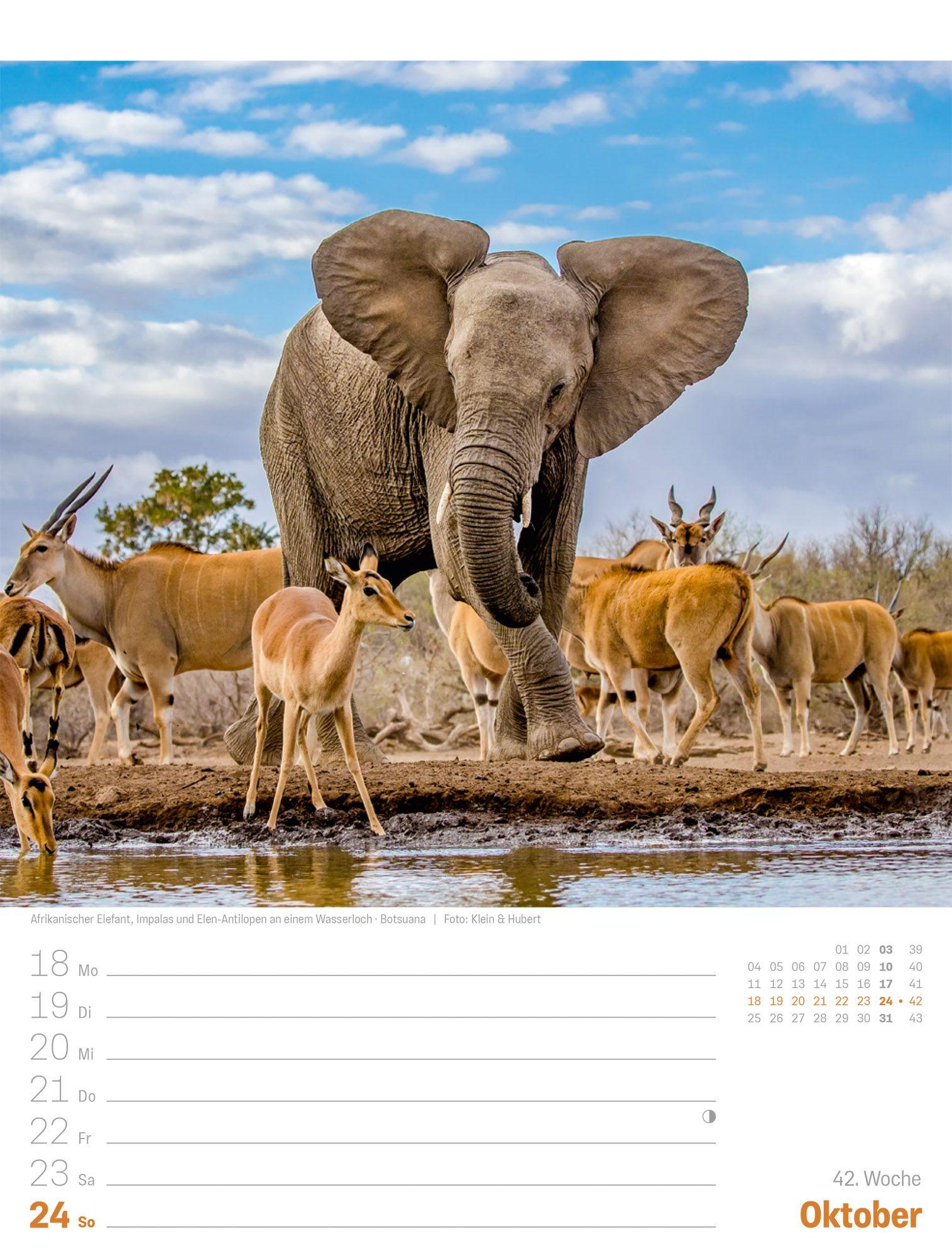 Beispielinhalt (Bild) Planet Erde Wochenplaner Kalender 2027 | Landschaften der Welt