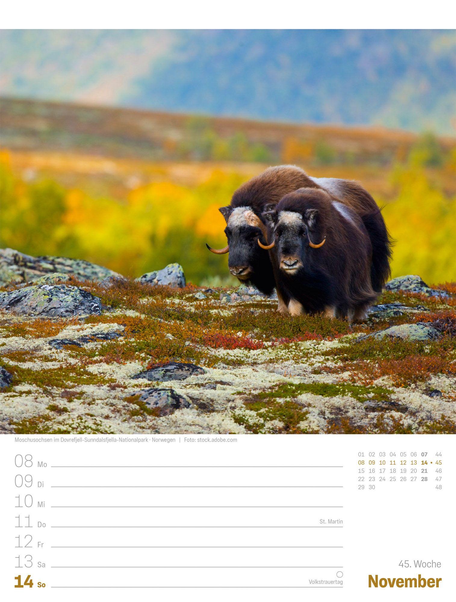 Beispielinhalt (Bild) Planet Erde Wochenplaner Kalender 2027 | Landschaften der Welt