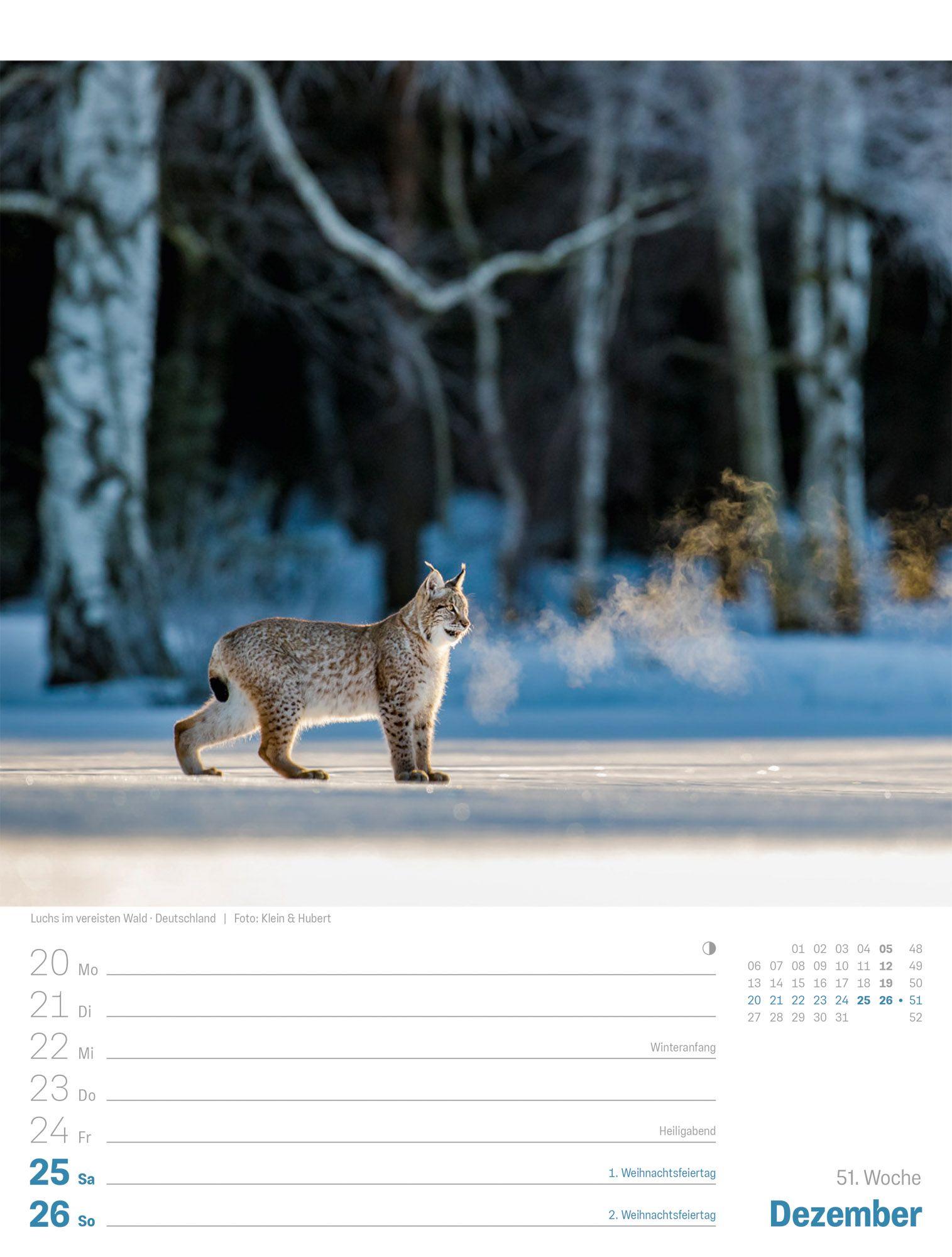 Beispielinhalt (Bild) Planet Erde Wochenplaner Kalender 2027 | Landschaften der Welt