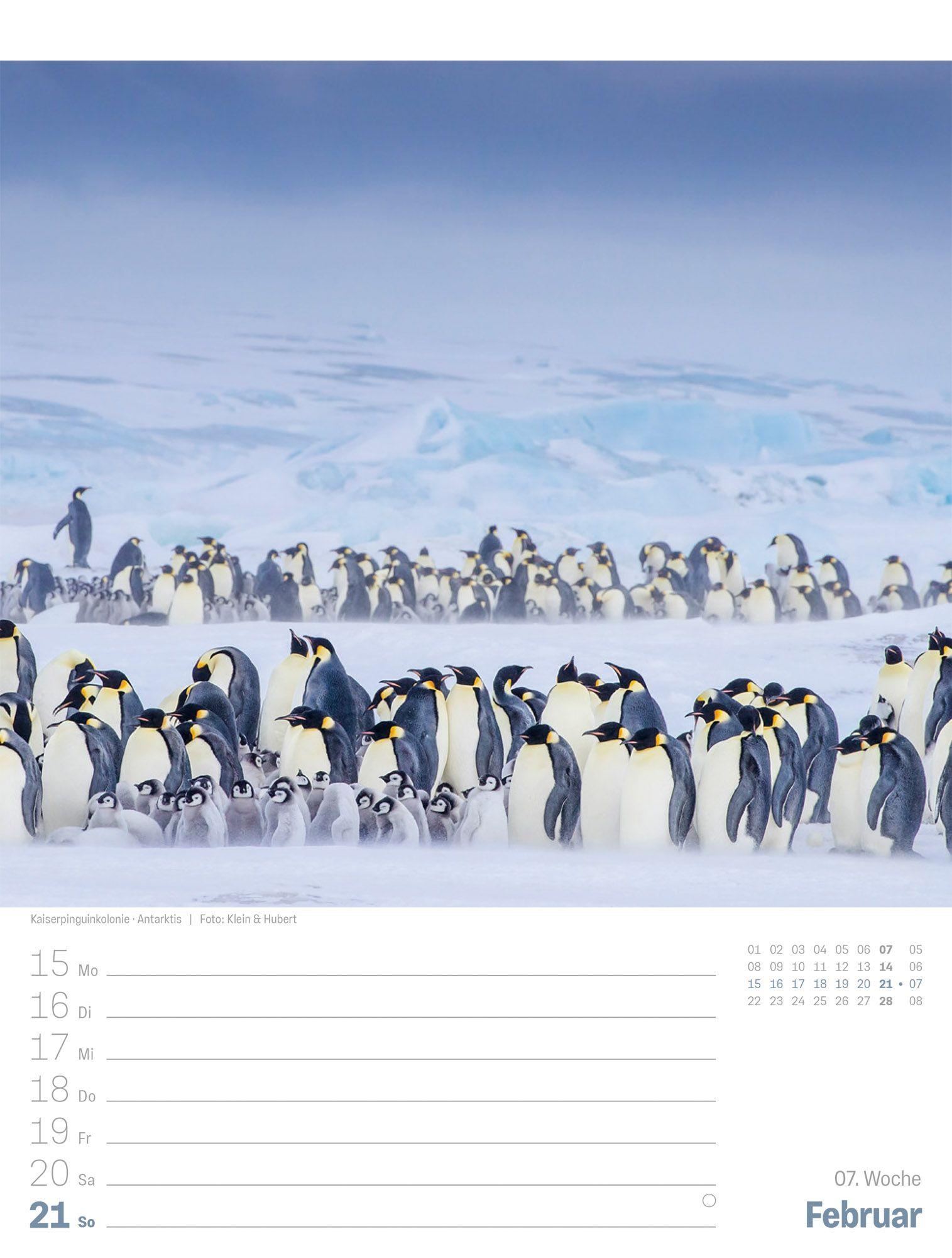 Beispielinhalt (Bild) Planet Erde Wochenplaner Kalender 2027 | Landschaften der Welt