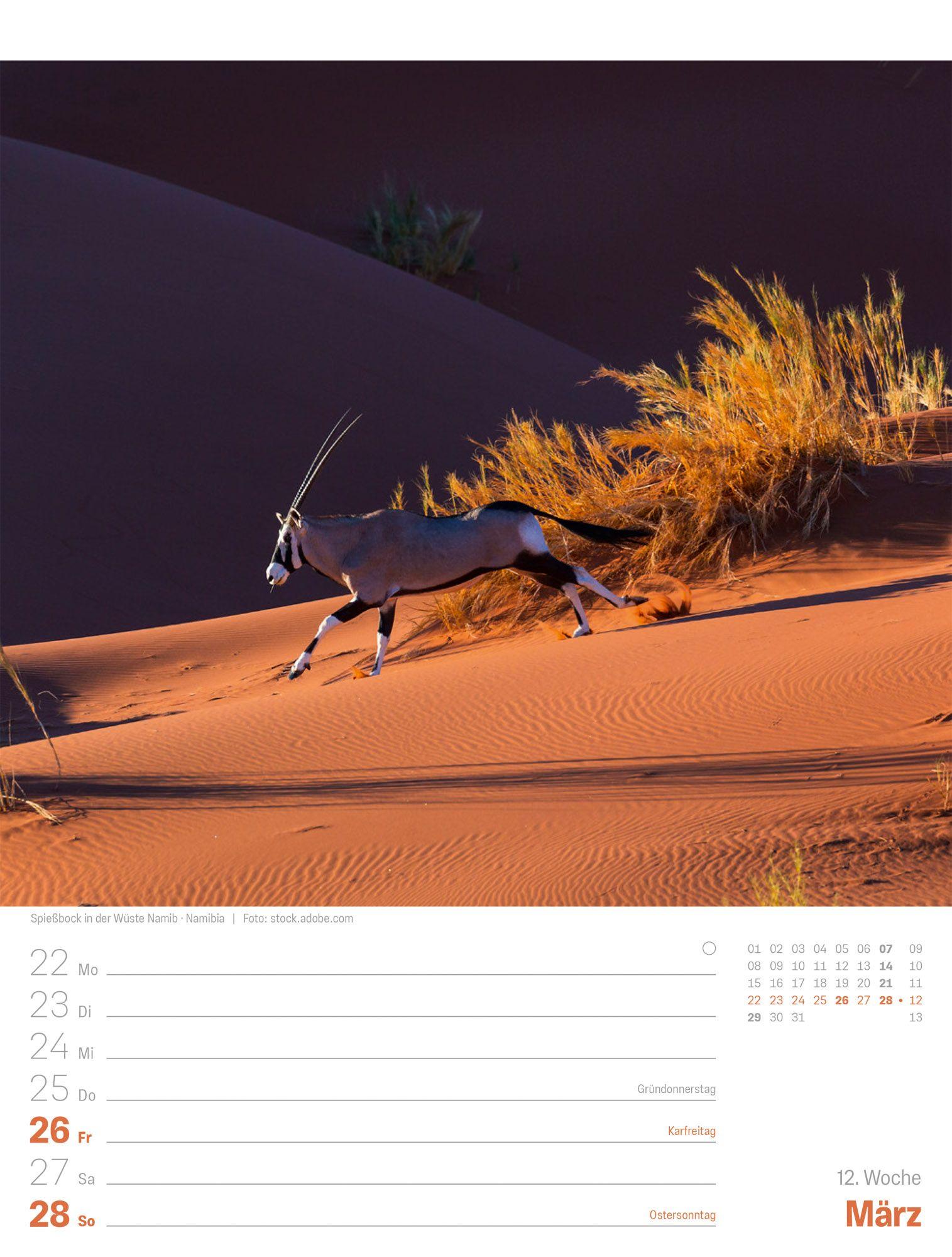 Beispielinhalt (Bild) Planet Erde Wochenplaner Kalender 2027 | Landschaften der Welt