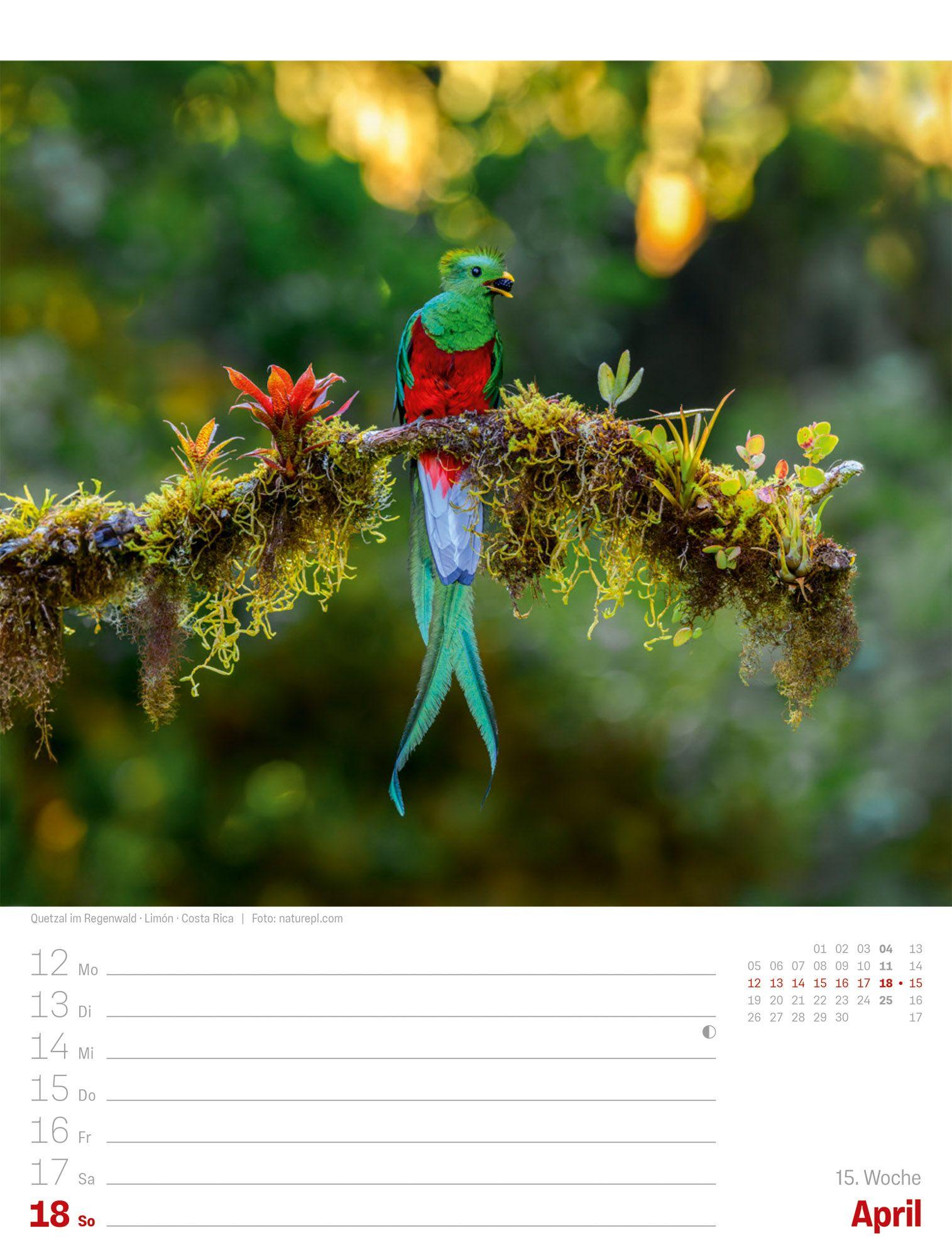 Beispielinhalt (Bild) Planet Erde Wochenplaner Kalender 2027 | Landschaften der Welt