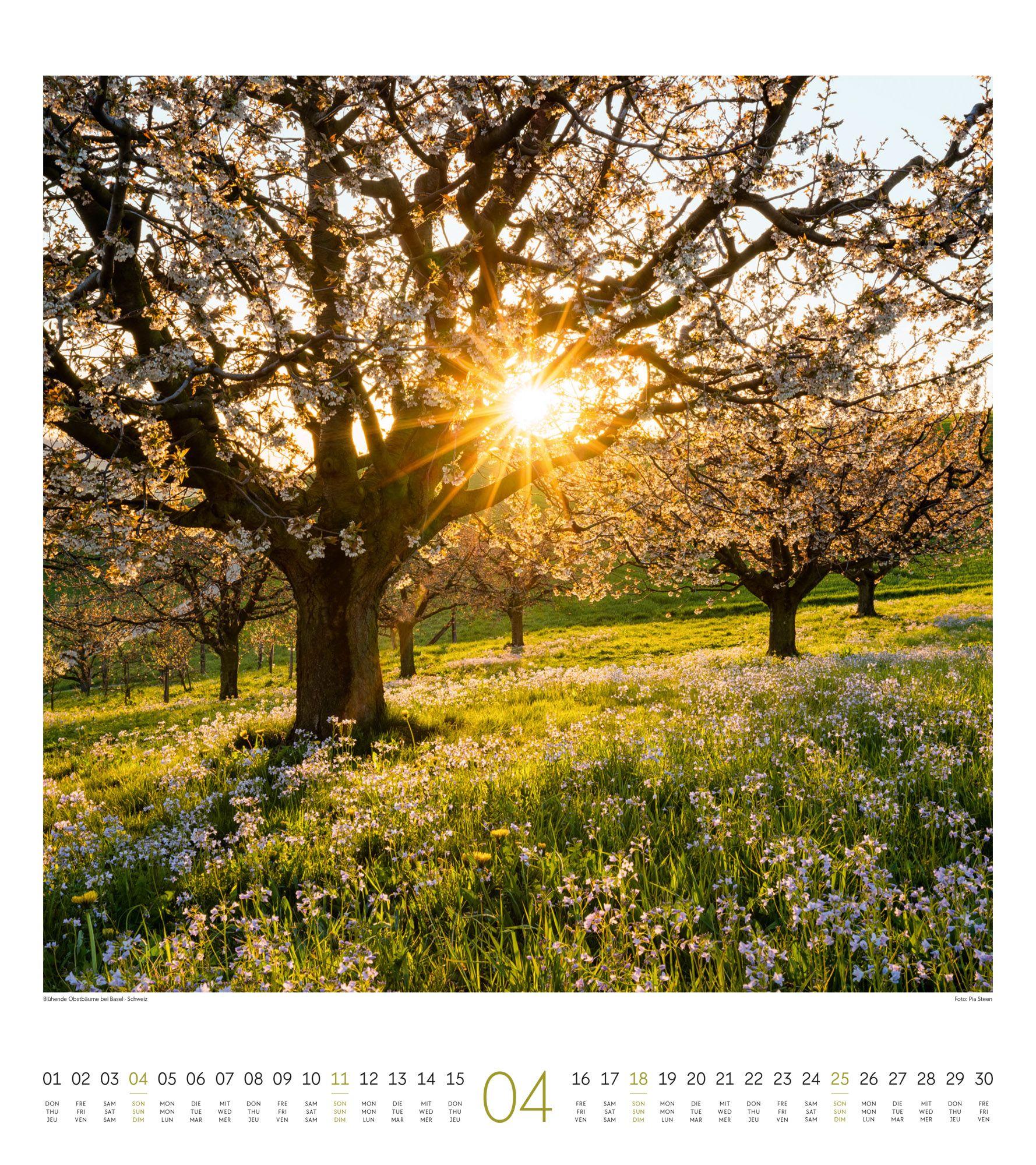 Beispielinhalt (Bild) Lichtblicke Kalender 2027