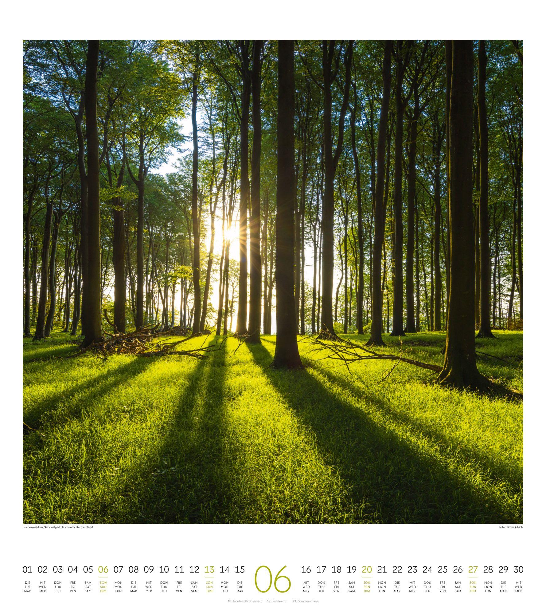 Beispielinhalt (Bild) Lichtblicke Kalender 2027