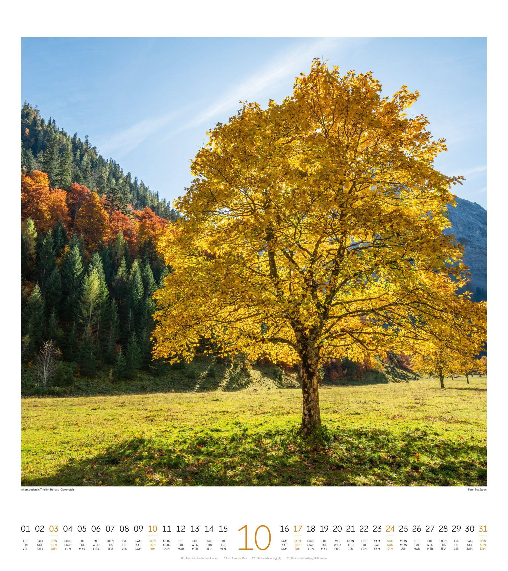 Beispielinhalt (Bild) Lichtblicke Kalender 2027