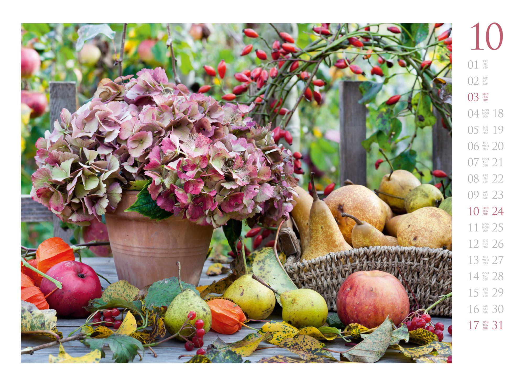 Beispielinhalt (Bild) Blumenzauber Kalender 2027