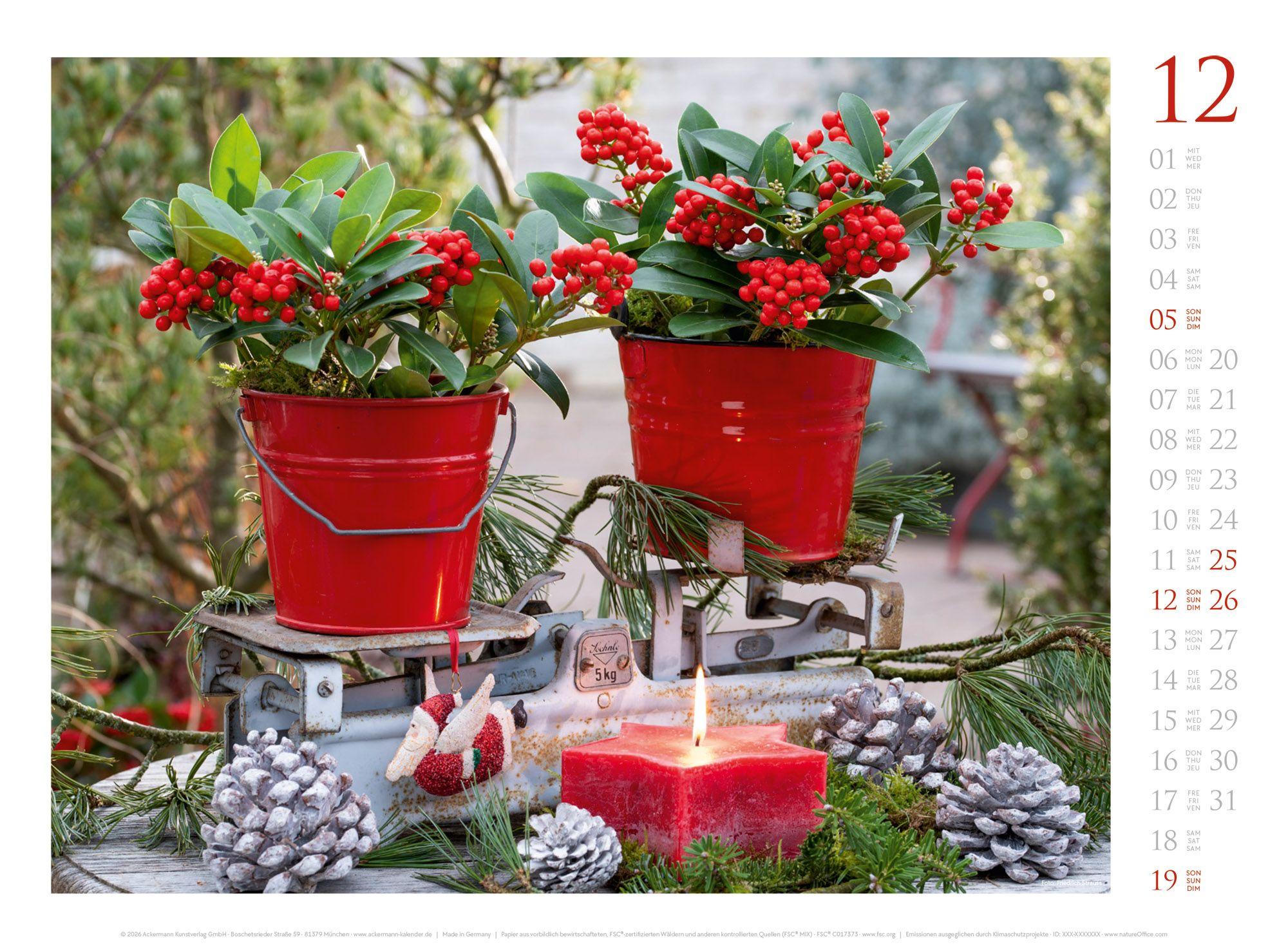 Beispielinhalt (Bild) Blumenzauber Kalender 2027