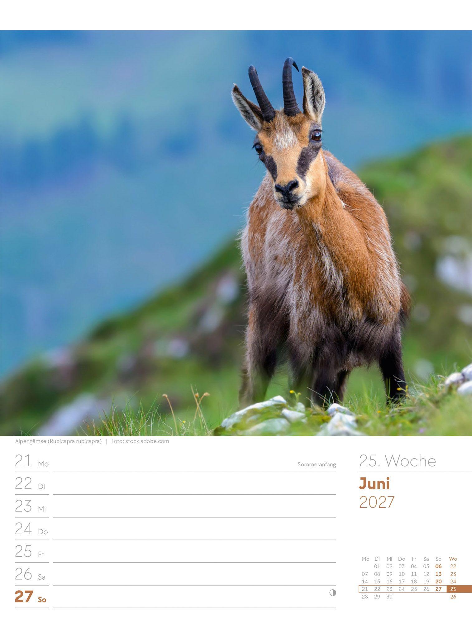 Beispielinhalt (Bild) Faszination Alpenwelt Wochenplaner Kalender 2027