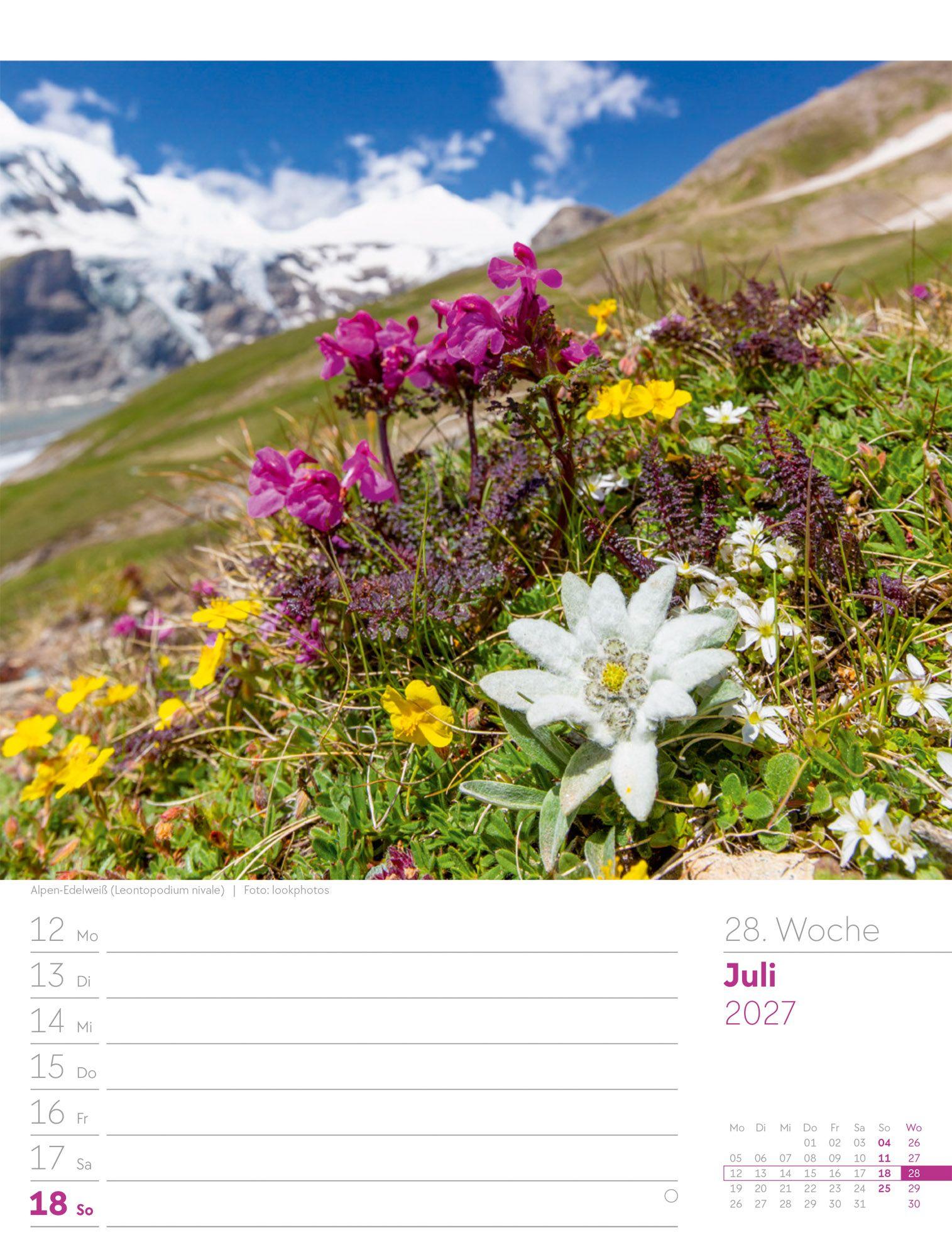 Beispielinhalt (Bild) Faszination Alpenwelt Wochenplaner Kalender 2027