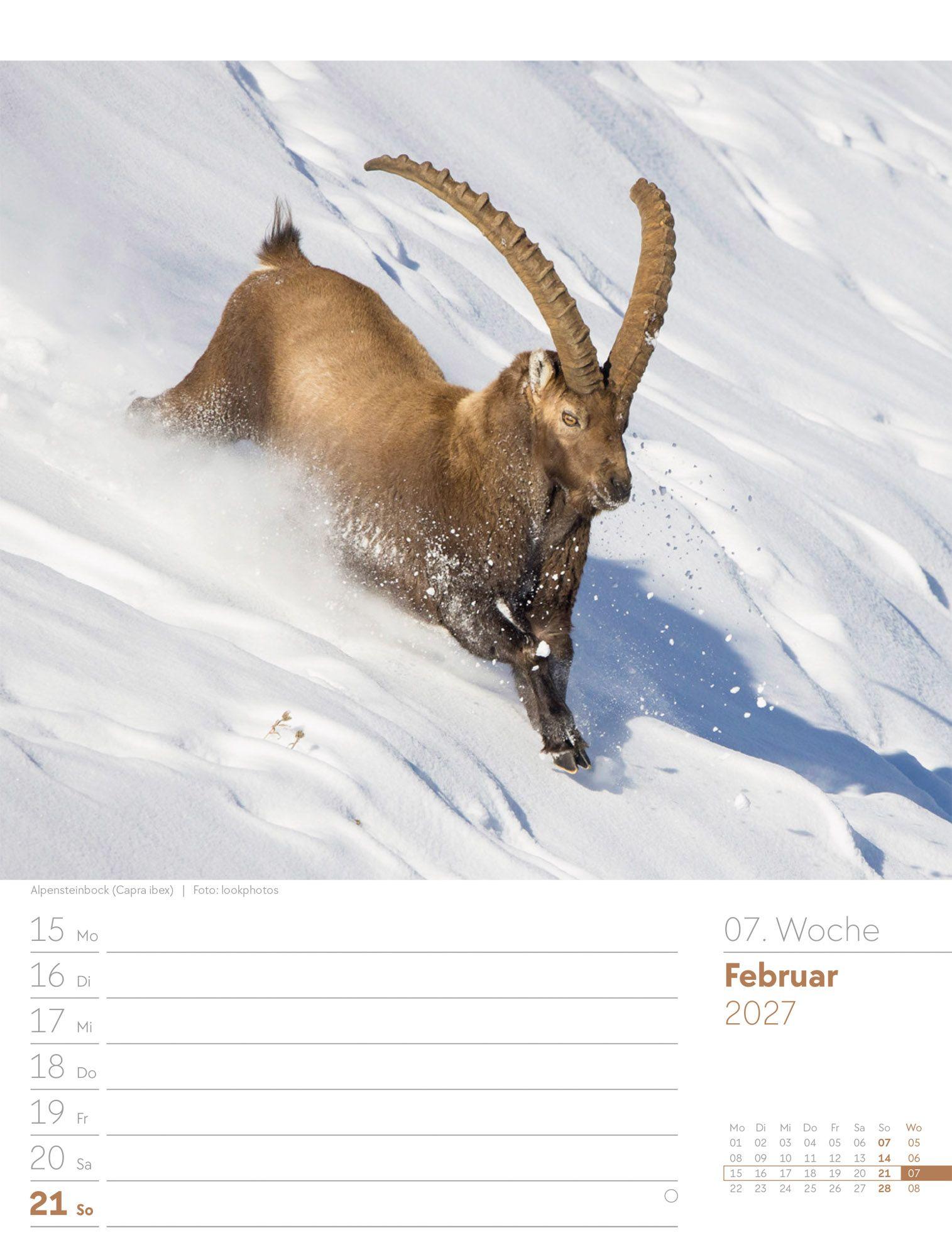 Beispielinhalt (Bild) Faszination Alpenwelt Wochenplaner Kalender 2027