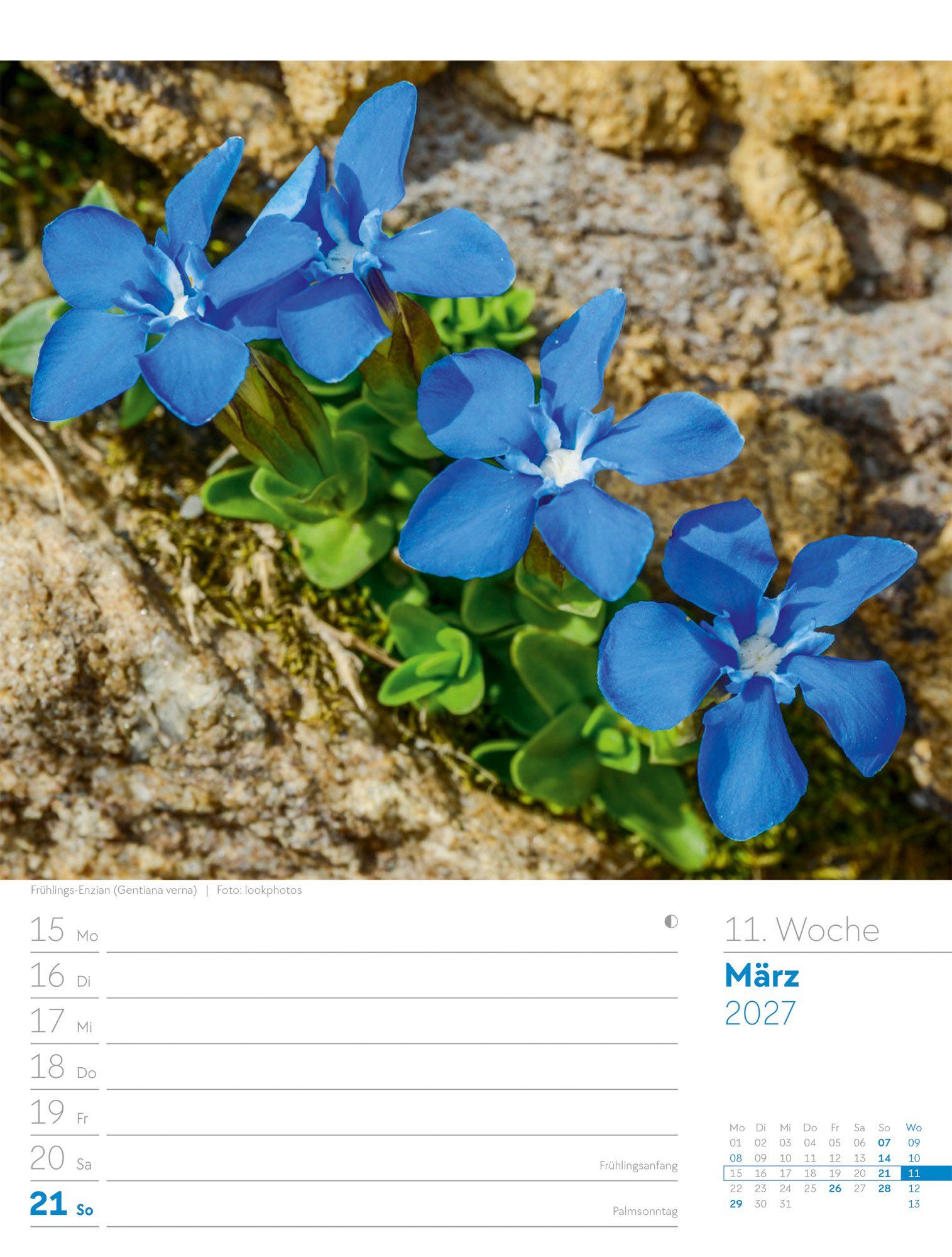 Beispielinhalt (Bild) Faszination Alpenwelt Wochenplaner Kalender 2027