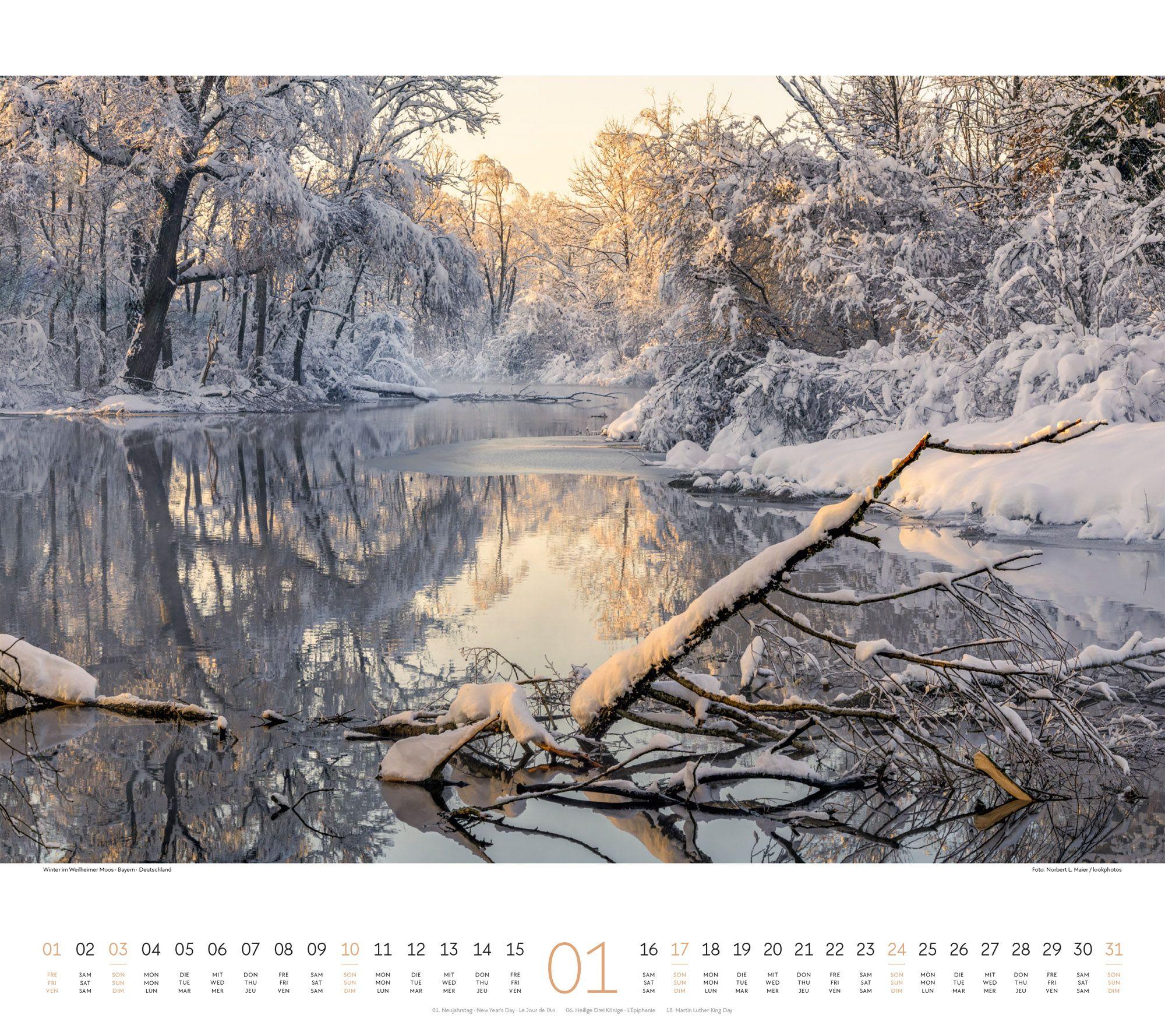 Beispielinhalt (Bild) Wald Kalender 2027