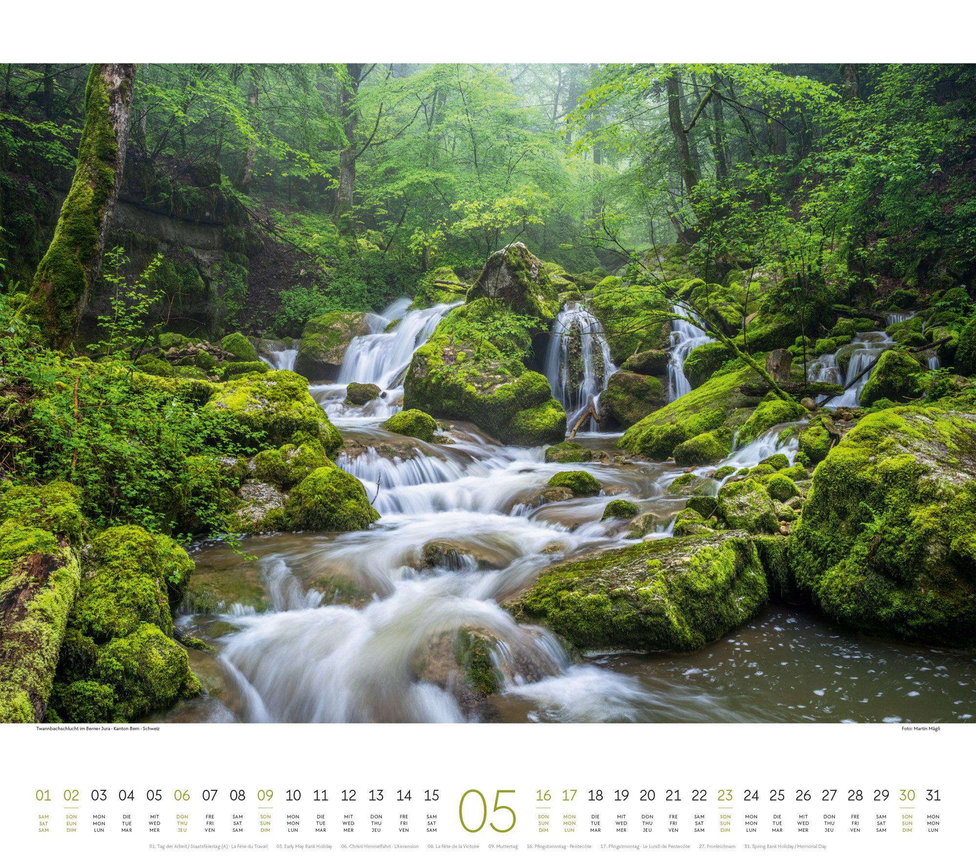 Beispielinhalt (Bild) Wald Kalender 2027