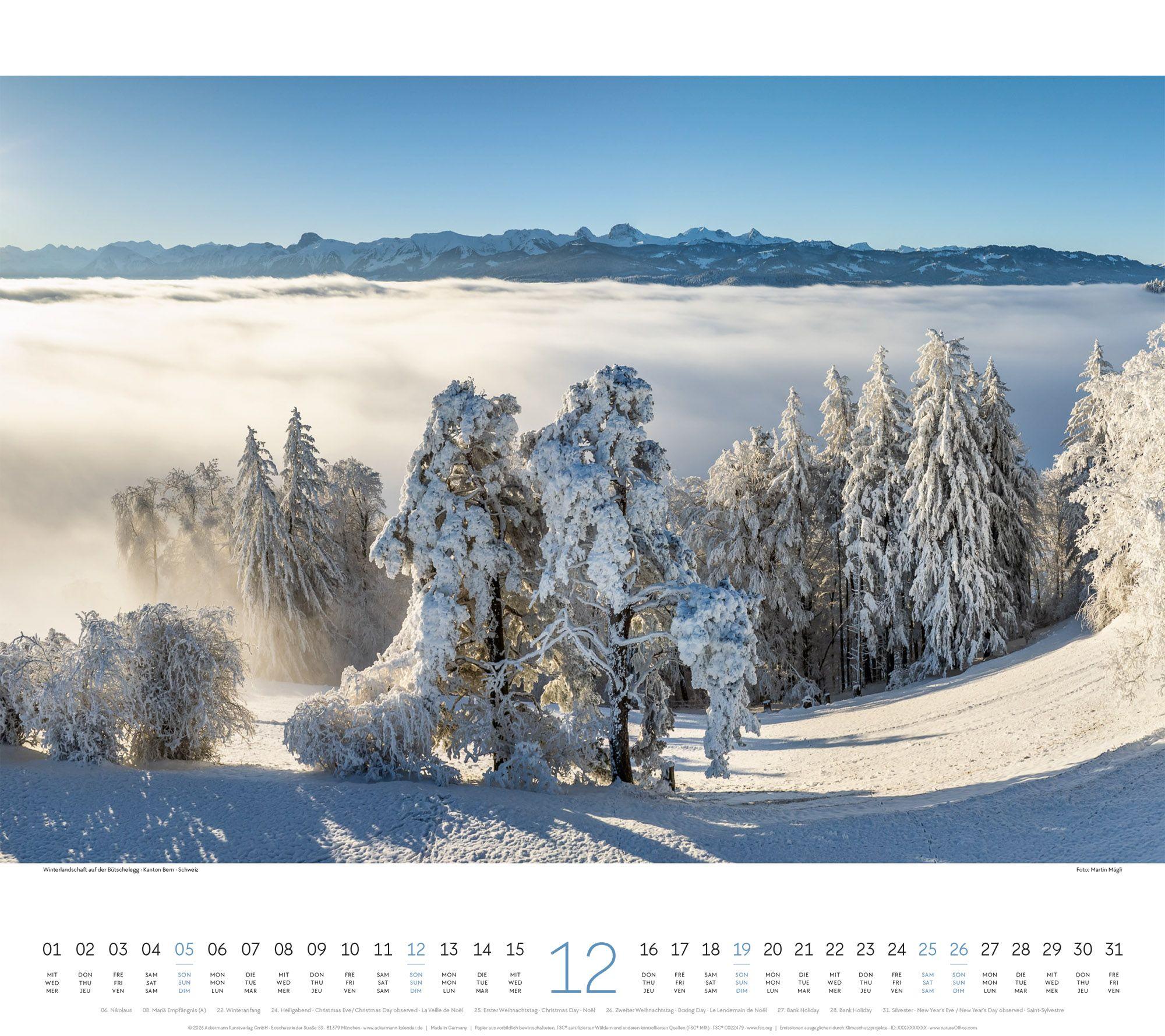 Beispielinhalt (Bild) Wald Kalender 2027