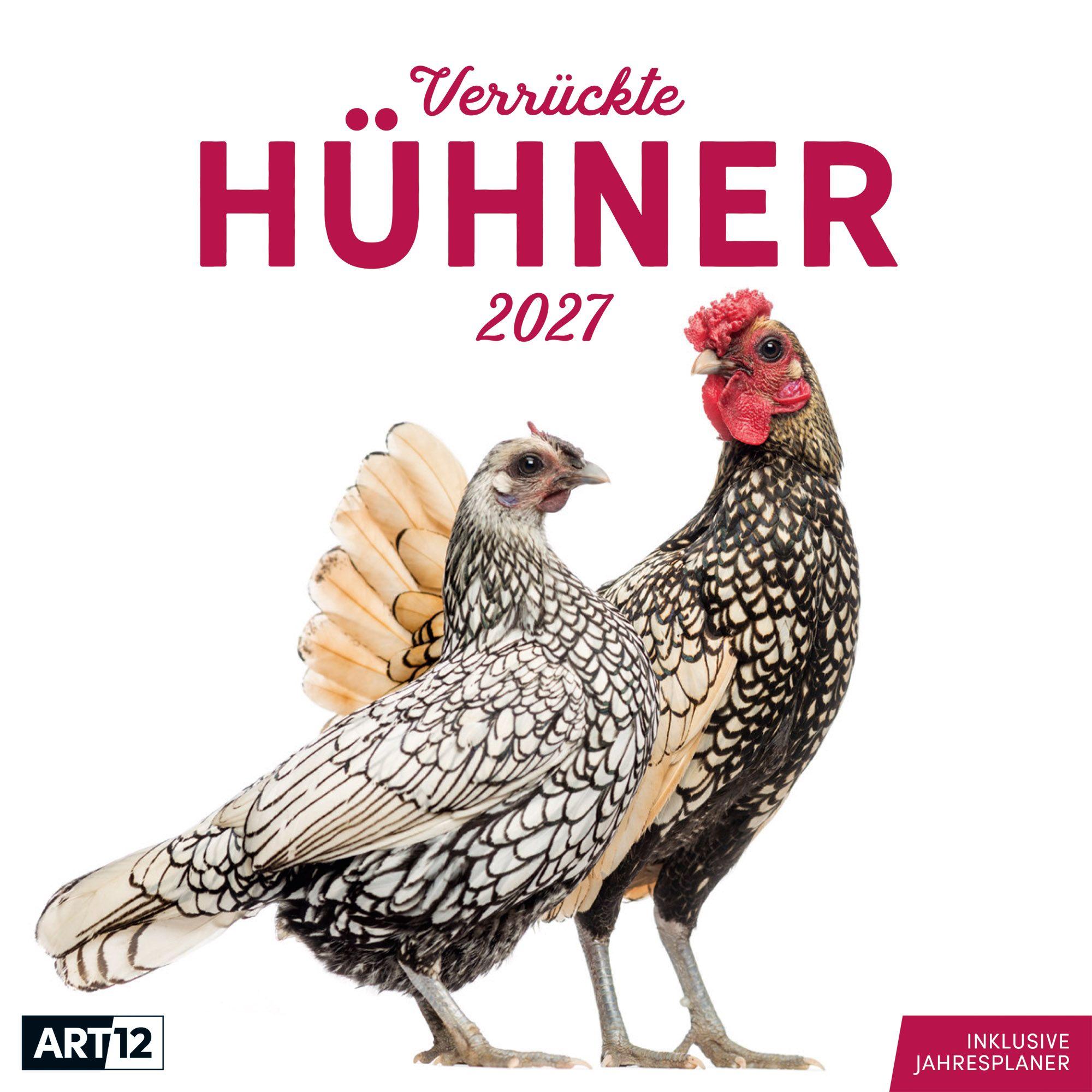 Vorderes Coverbild Verrückte Hühner Kalender 2027 - 30x30 - Art12