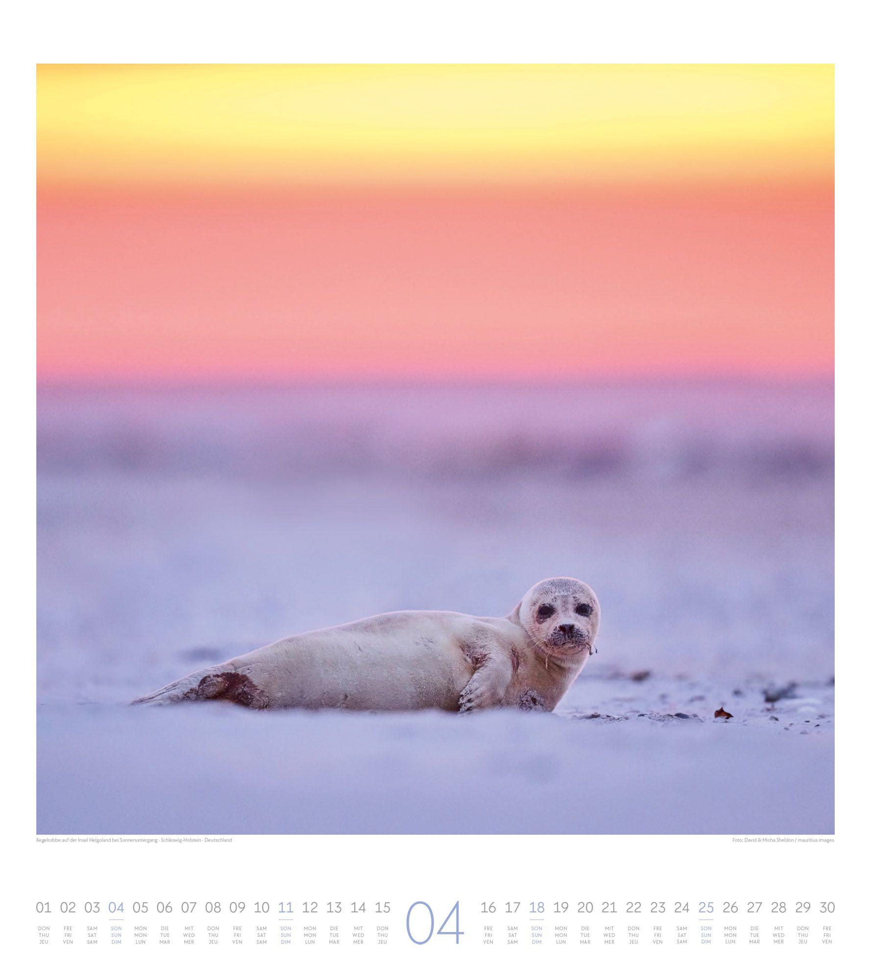 Beispielinhalt (Bild) Meeresstille Kalender 2027