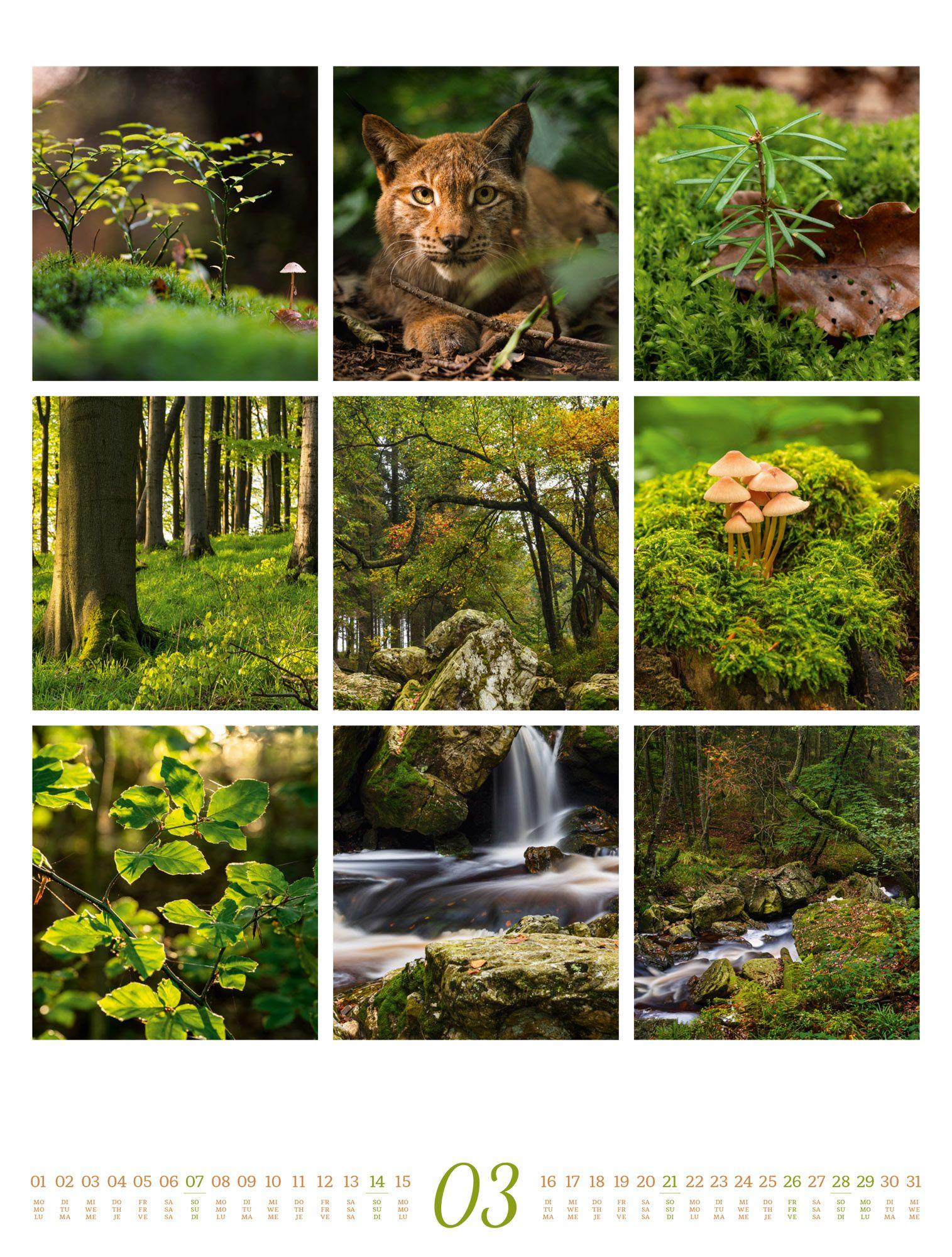 Beispielinhalt (Bild) Inspiration Natur Kalender 2027