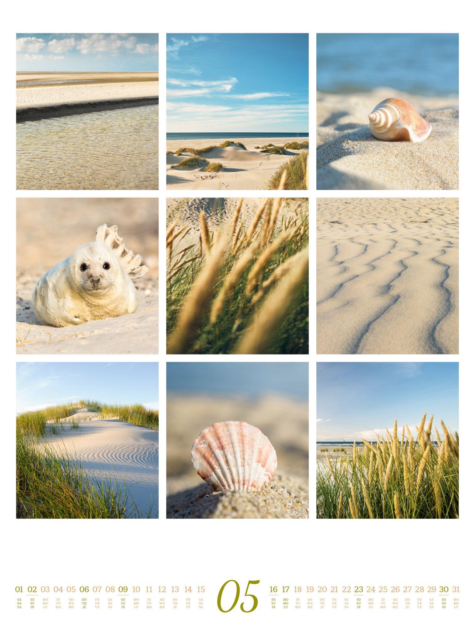 Beispielinhalt (Bild) Inspiration Natur Kalender 2027