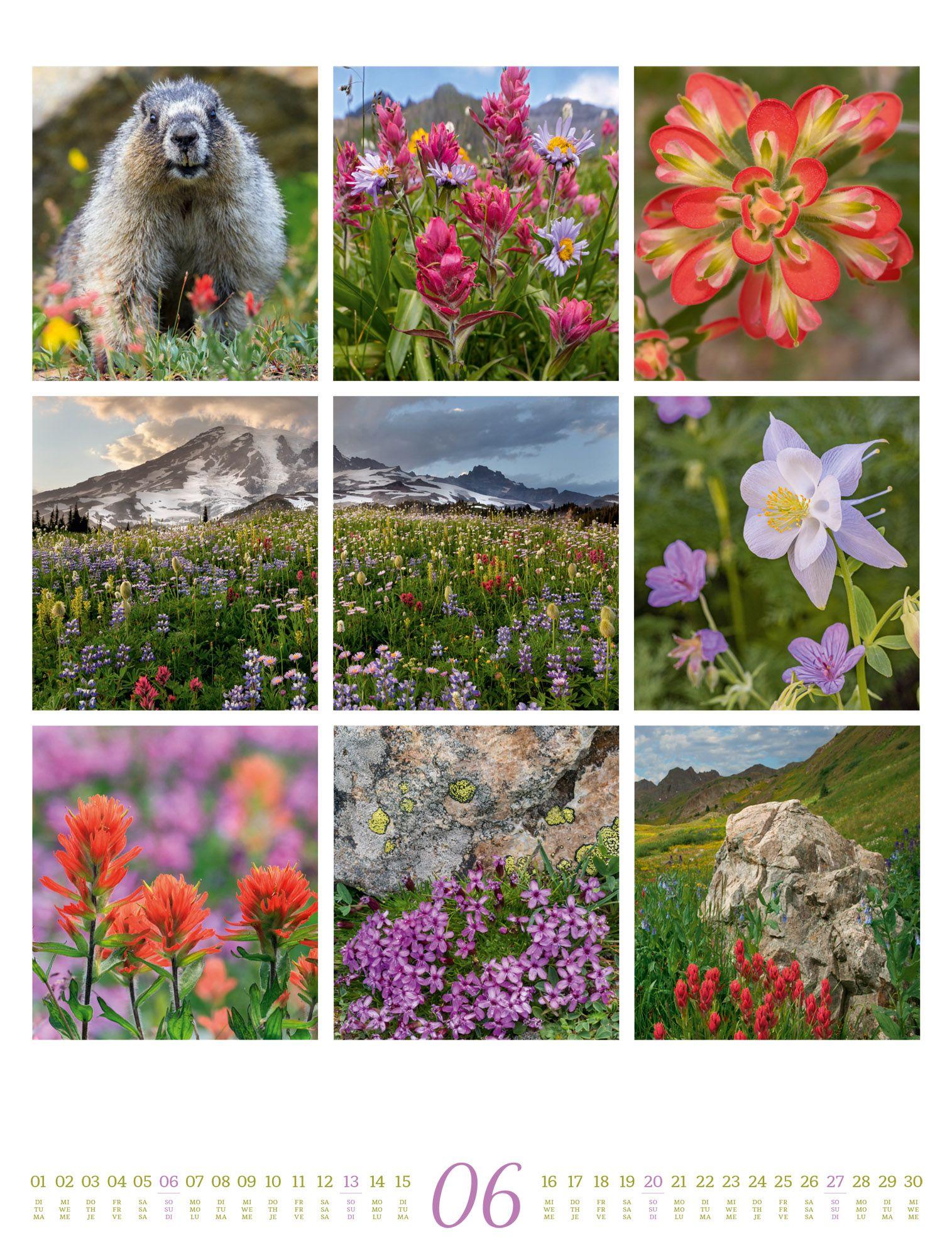 Beispielinhalt (Bild) Inspiration Natur Kalender 2027