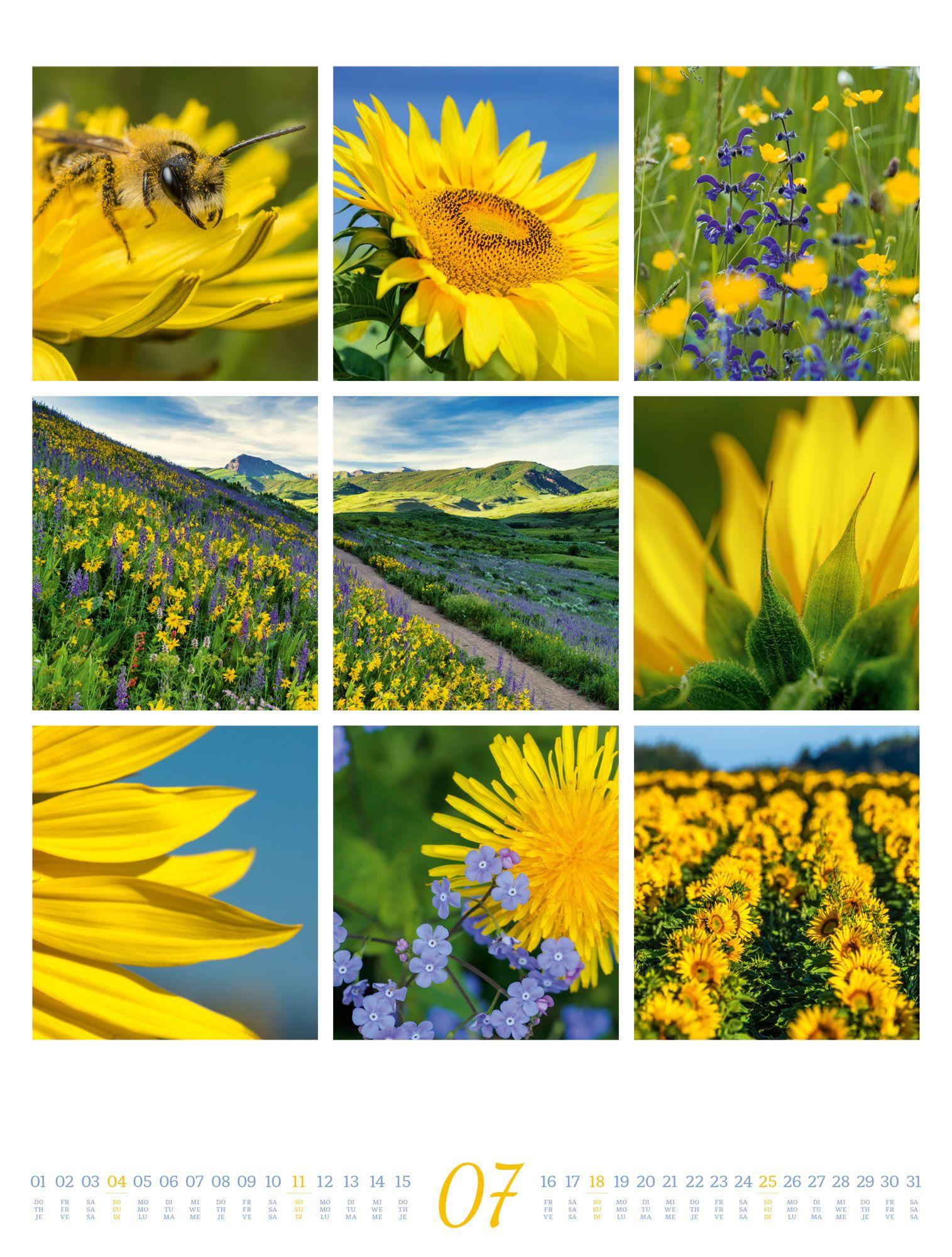 Beispielinhalt (Bild) Inspiration Natur Kalender 2027