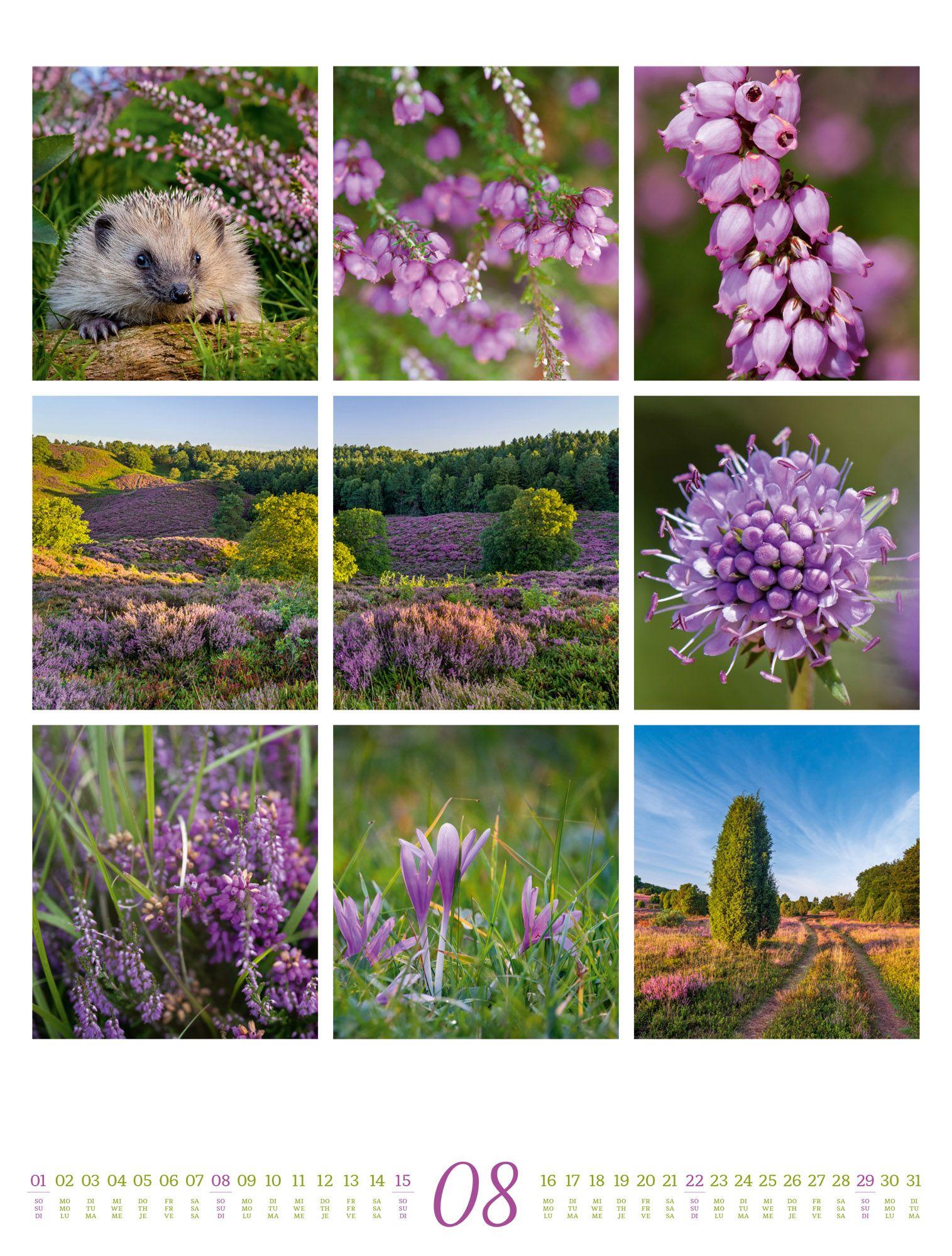 Beispielinhalt (Bild) Inspiration Natur Kalender 2027