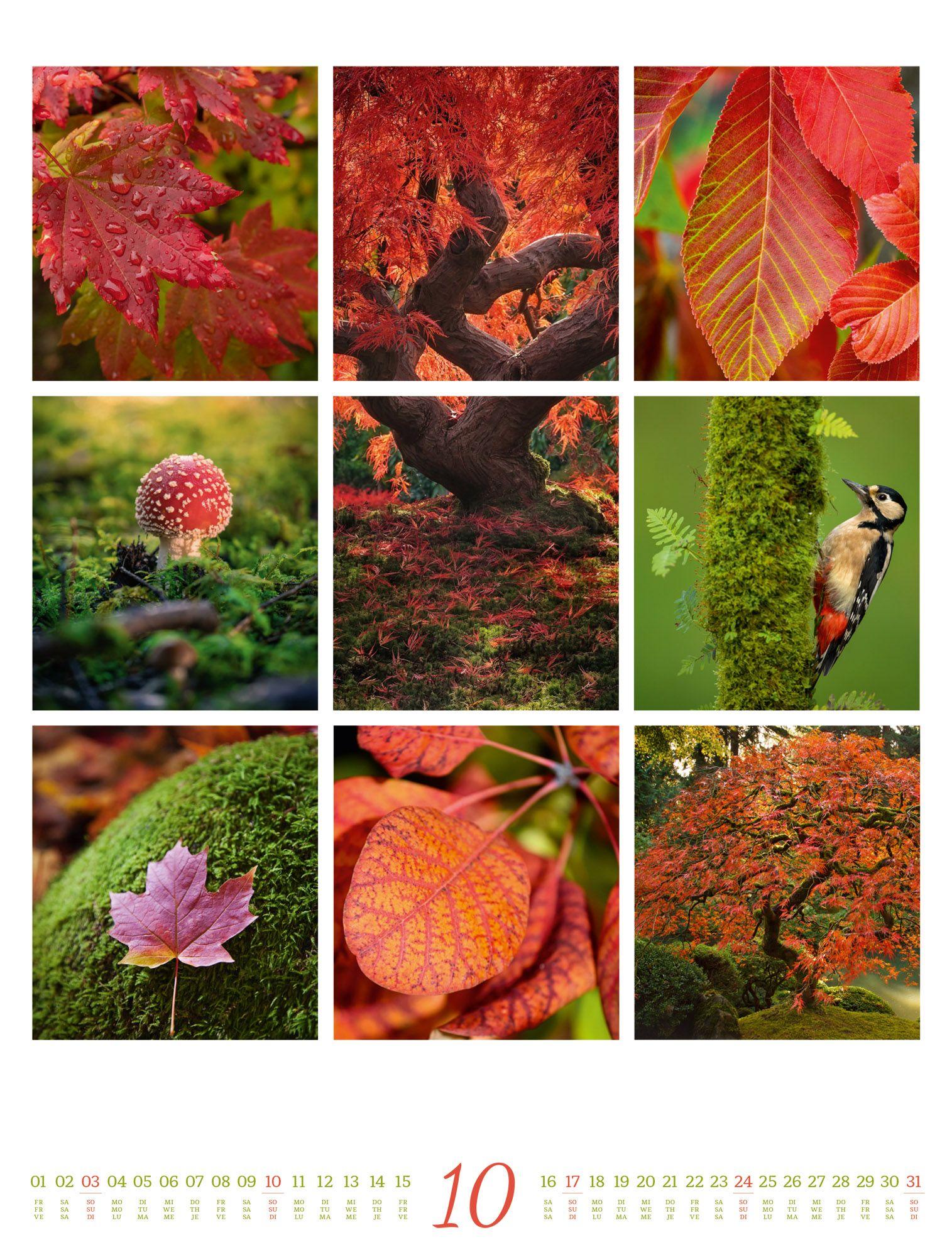 Beispielinhalt (Bild) Inspiration Natur Kalender 2027