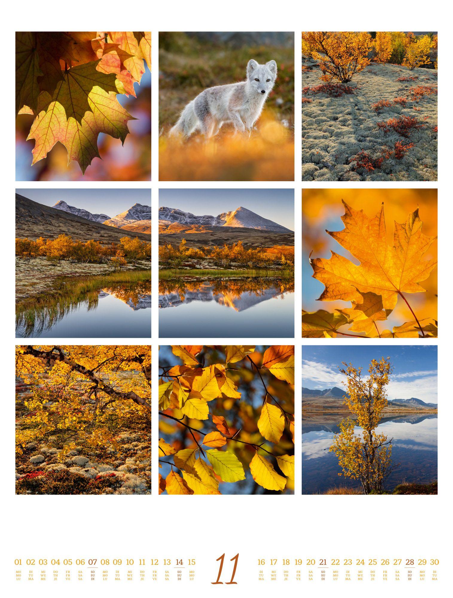 Beispielinhalt (Bild) Inspiration Natur Kalender 2027