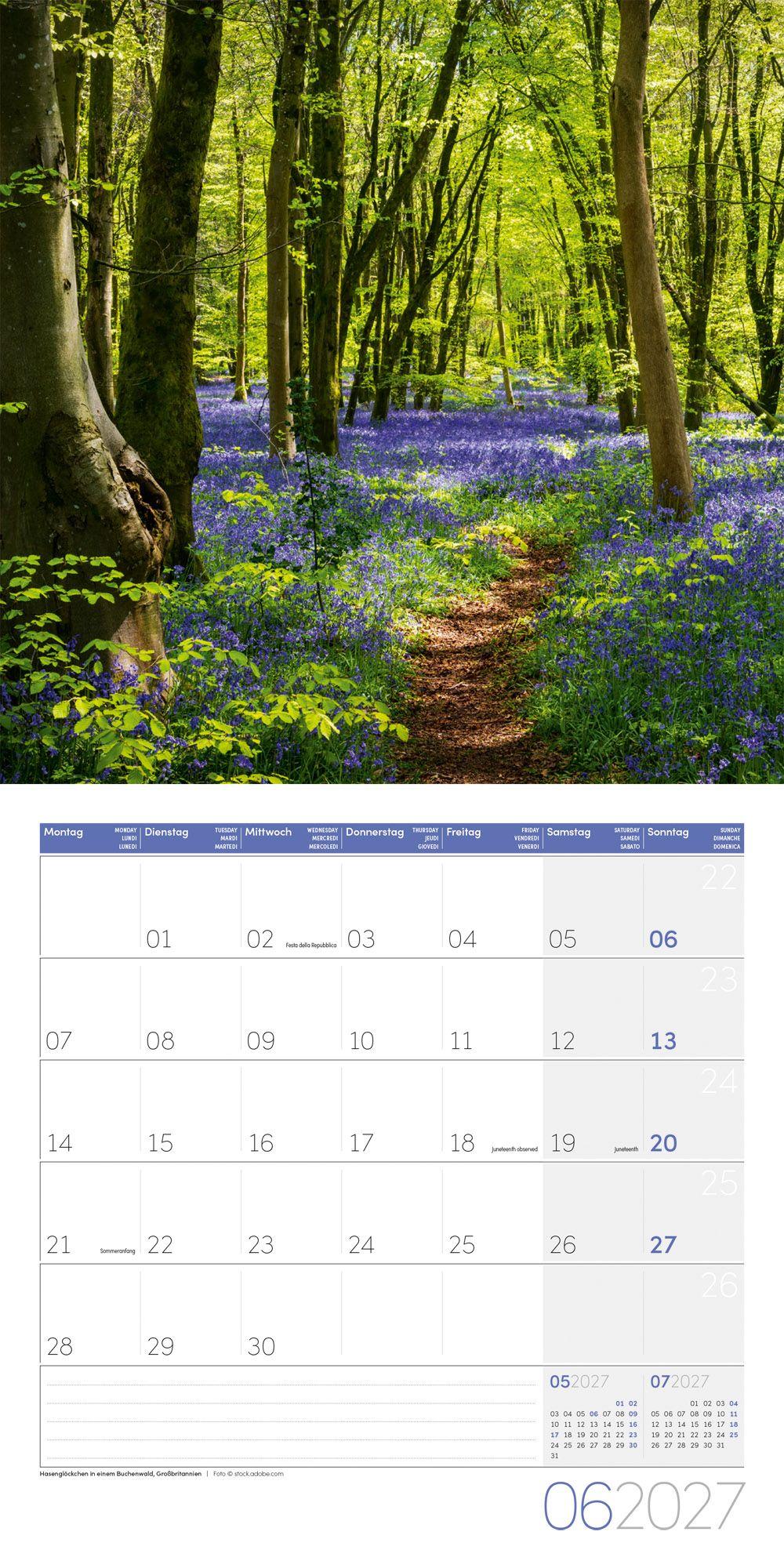 Beispielinhalt (Bild) Traumpfade Kalender 2027 - 30x30 - Art12