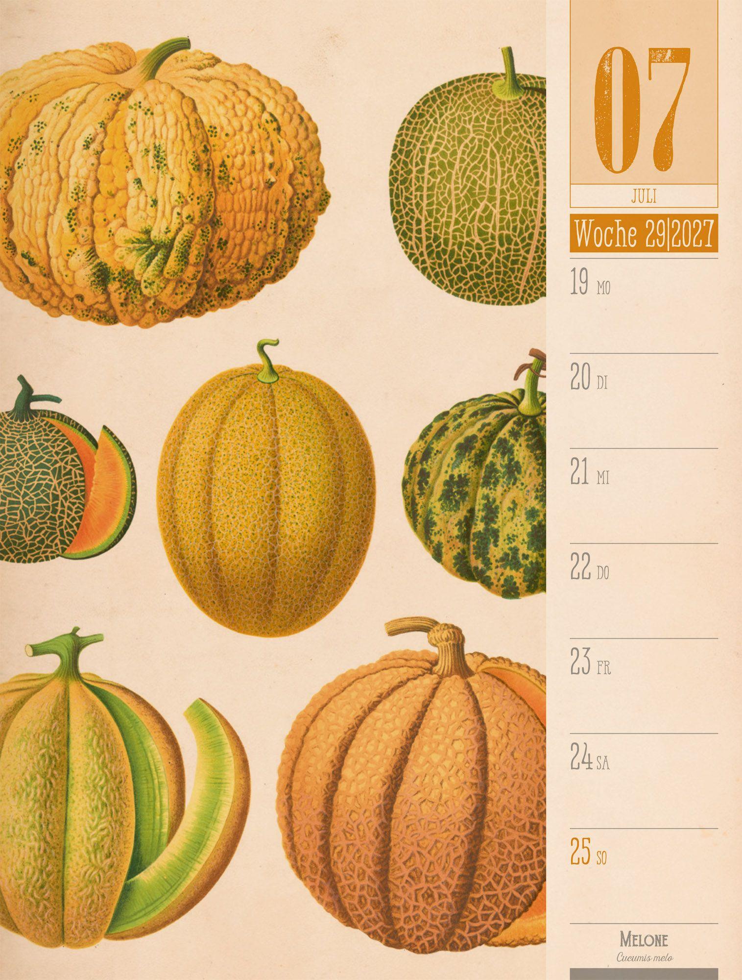 Beispielinhalt (Bild) Culinarium Wochenplaner Kalender 2027 | Küche, Kräuter, Kurioses