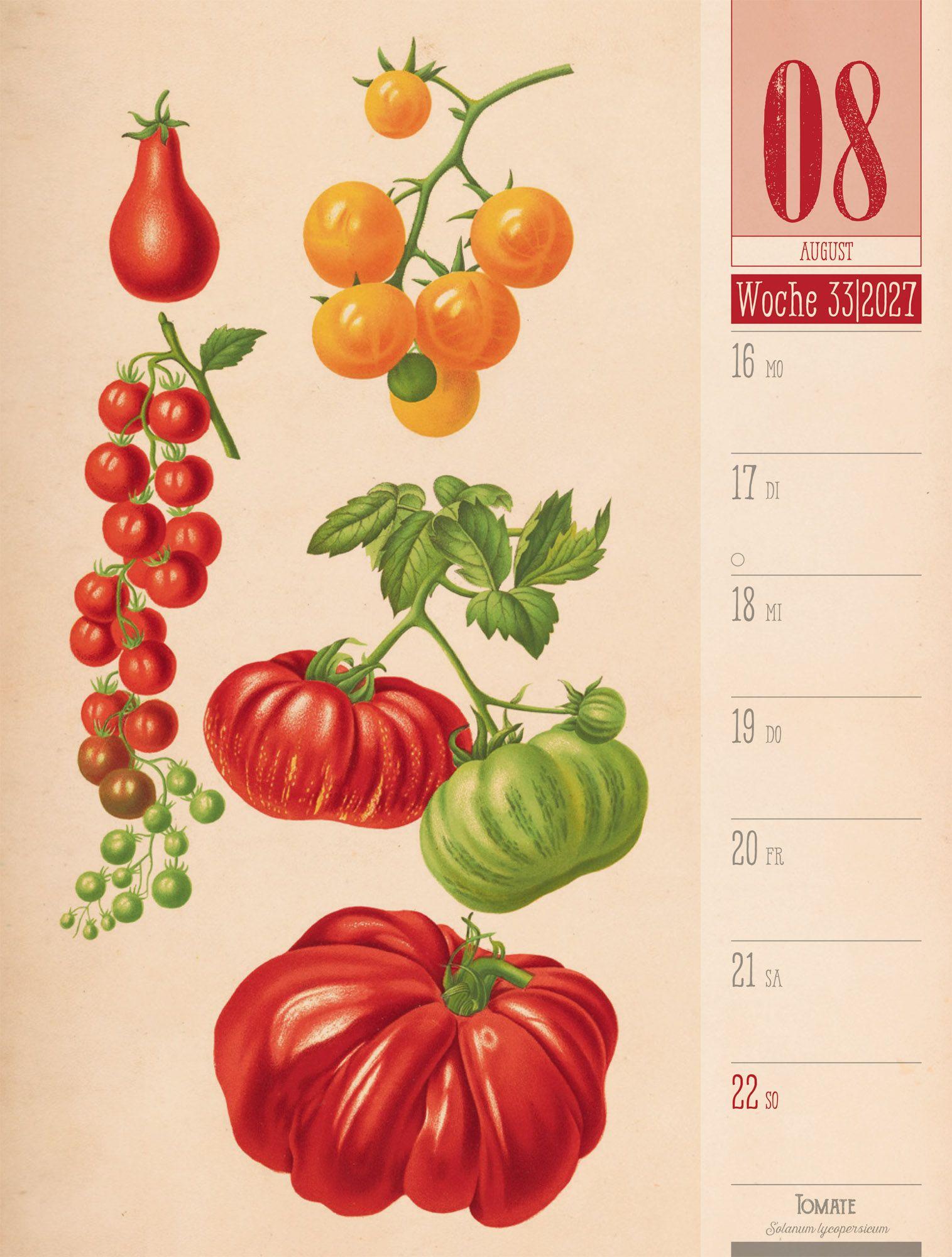 Beispielinhalt (Bild) Culinarium Wochenplaner Kalender 2027 | Küche, Kräuter, Kurioses