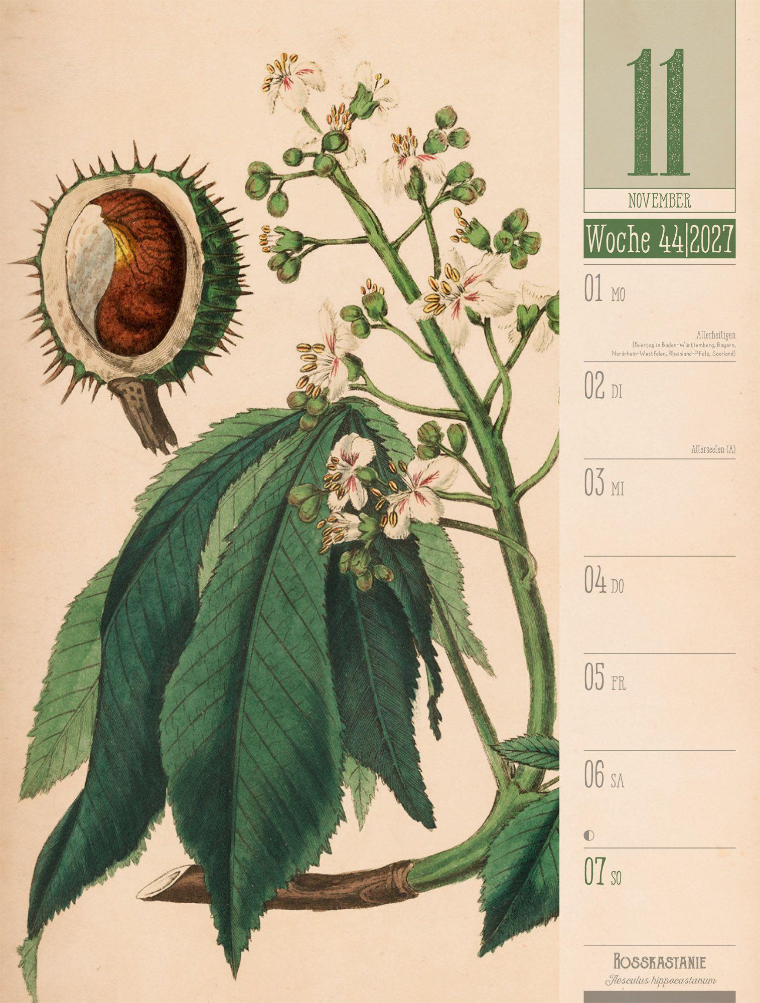 Beispielinhalt (Bild) Culinarium Wochenplaner Kalender 2027 | Küche, Kräuter, Kurioses