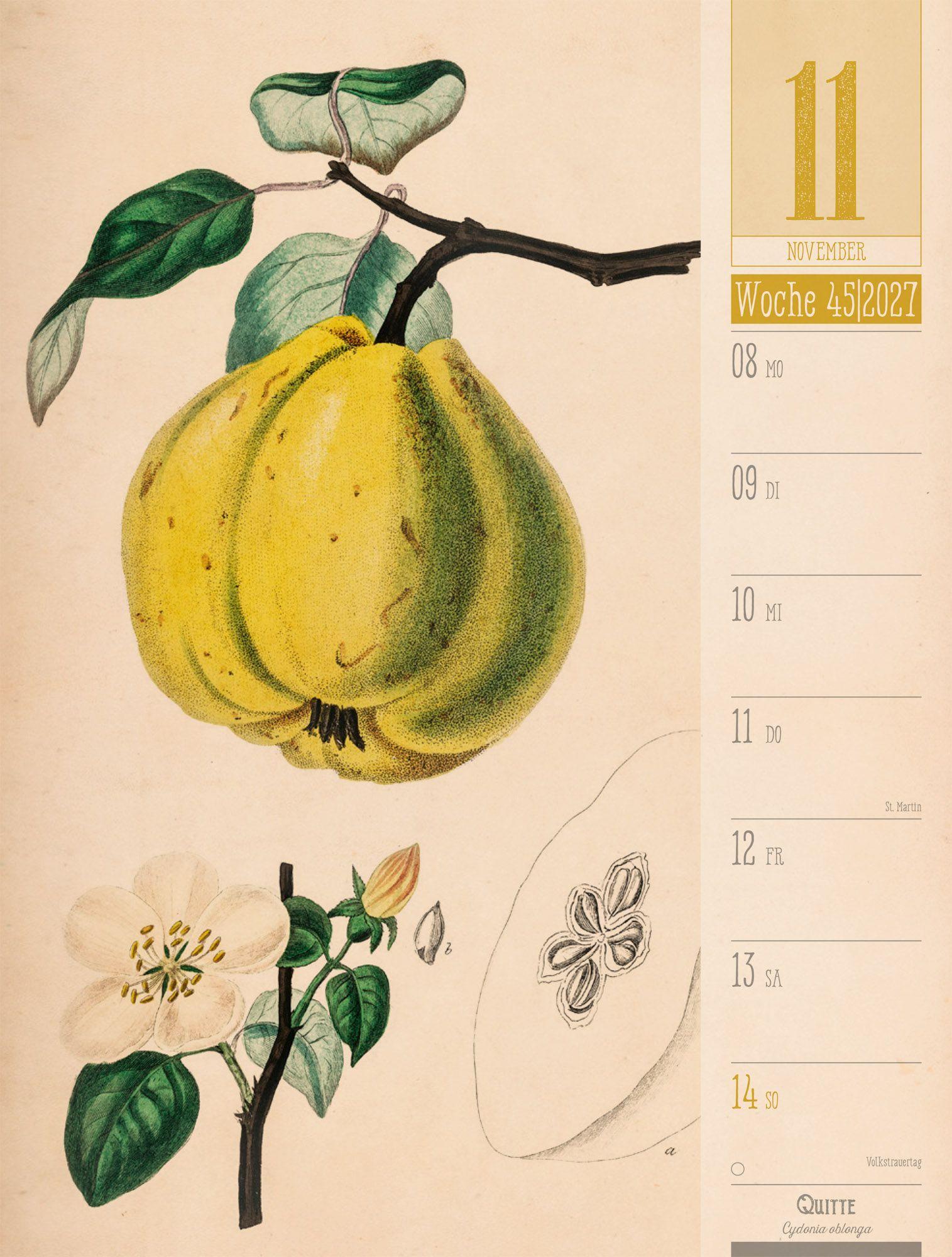 Beispielinhalt (Bild) Culinarium Wochenplaner Kalender 2027 | Küche, Kräuter, Kurioses