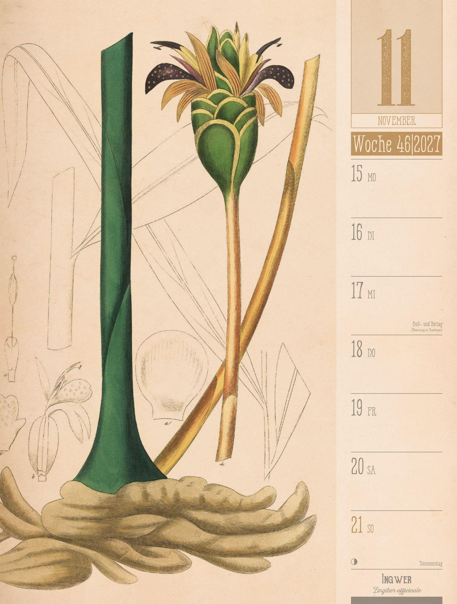 Beispielinhalt (Bild) Culinarium Wochenplaner Kalender 2027 | Küche, Kräuter, Kurioses