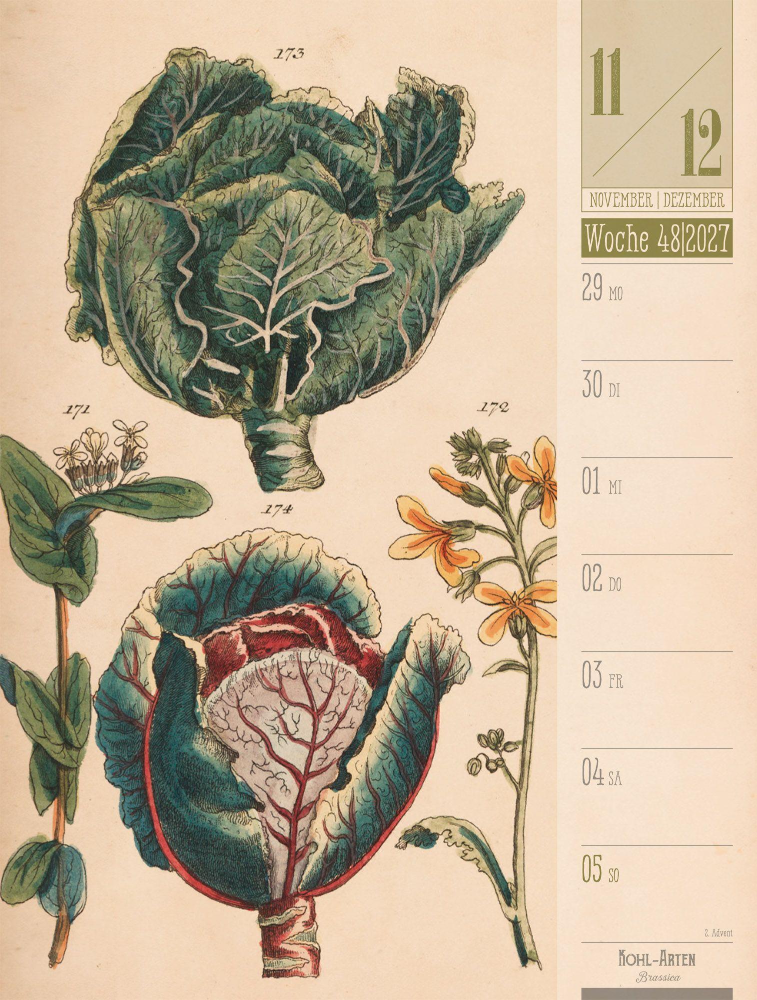 Beispielinhalt (Bild) Culinarium Wochenplaner Kalender 2027 | Küche, Kräuter, Kurioses