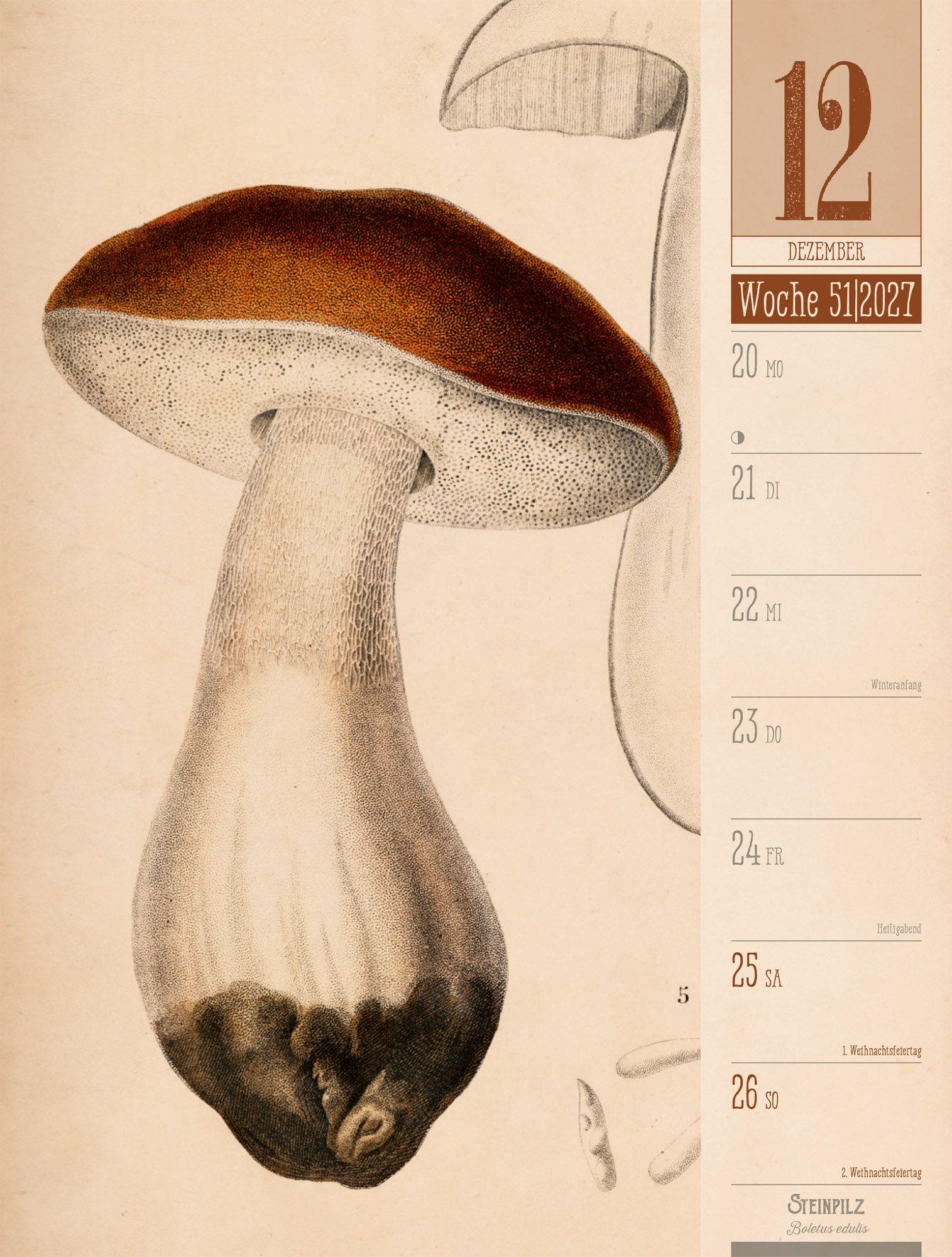 Beispielinhalt (Bild) Culinarium Wochenplaner Kalender 2027 | Küche, Kräuter, Kurioses