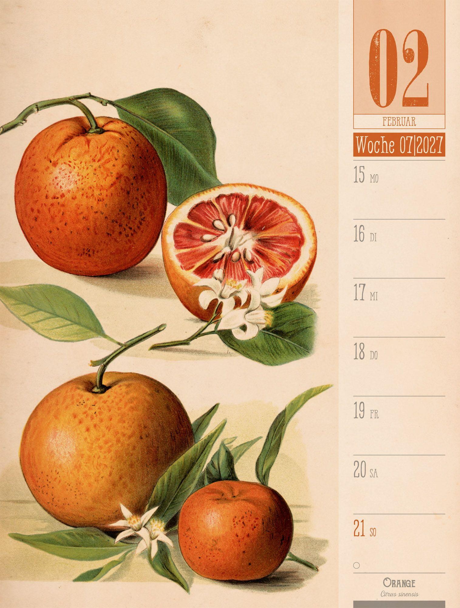 Beispielinhalt (Bild) Culinarium Wochenplaner Kalender 2027 | Küche, Kräuter, Kurioses