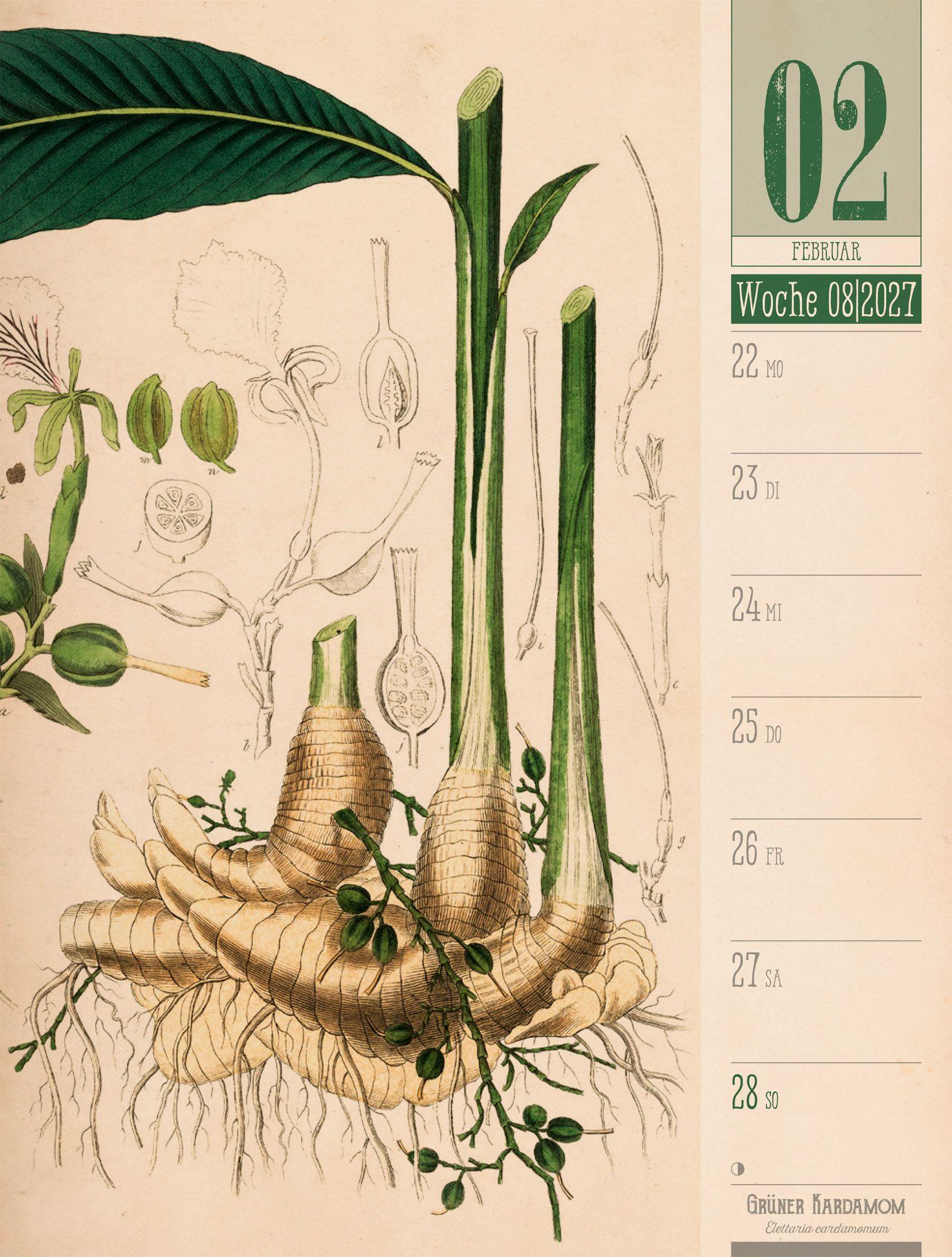 Beispielinhalt (Bild) Culinarium Wochenplaner Kalender 2027 | Küche, Kräuter, Kurioses