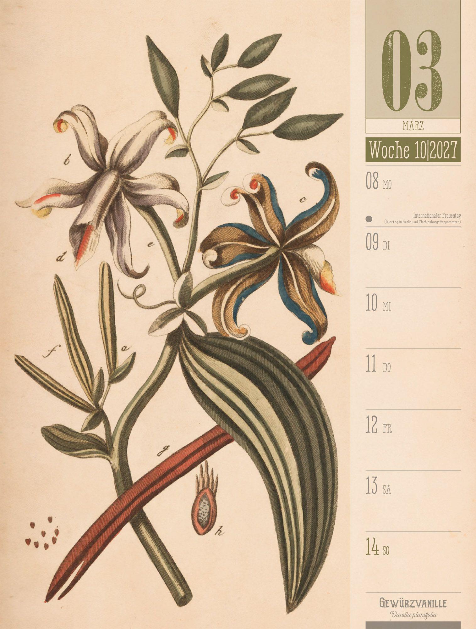 Beispielinhalt (Bild) Culinarium Wochenplaner Kalender 2027 | Küche, Kräuter, Kurioses