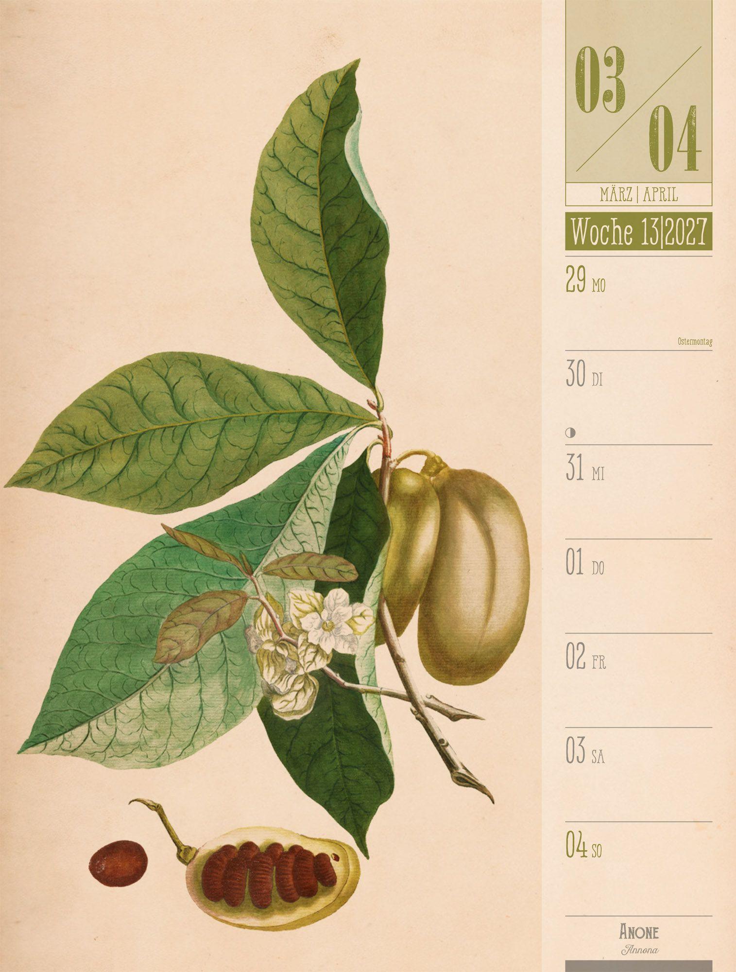 Beispielinhalt (Bild) Culinarium Wochenplaner Kalender 2027 | Küche, Kräuter, Kurioses