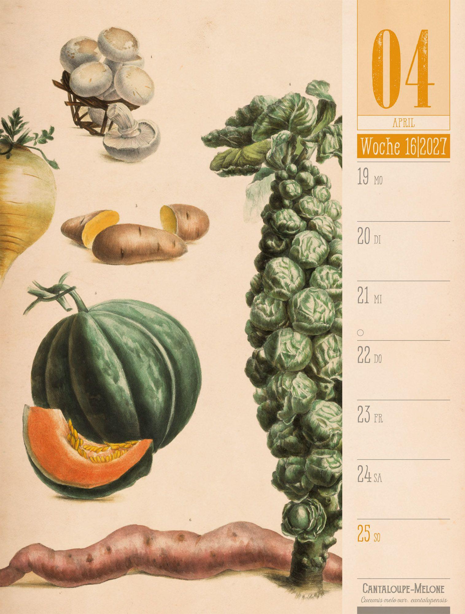 Beispielinhalt (Bild) Culinarium Wochenplaner Kalender 2027 | Küche, Kräuter, Kurioses