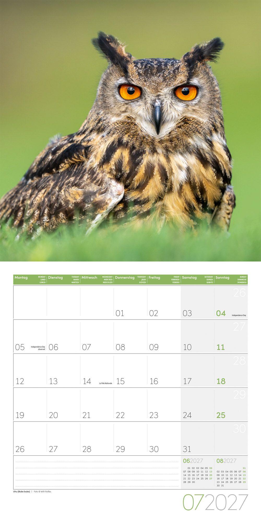 Beispielinhalt (Bild) Eulen Kalender 2027 - 30x30 - Art12