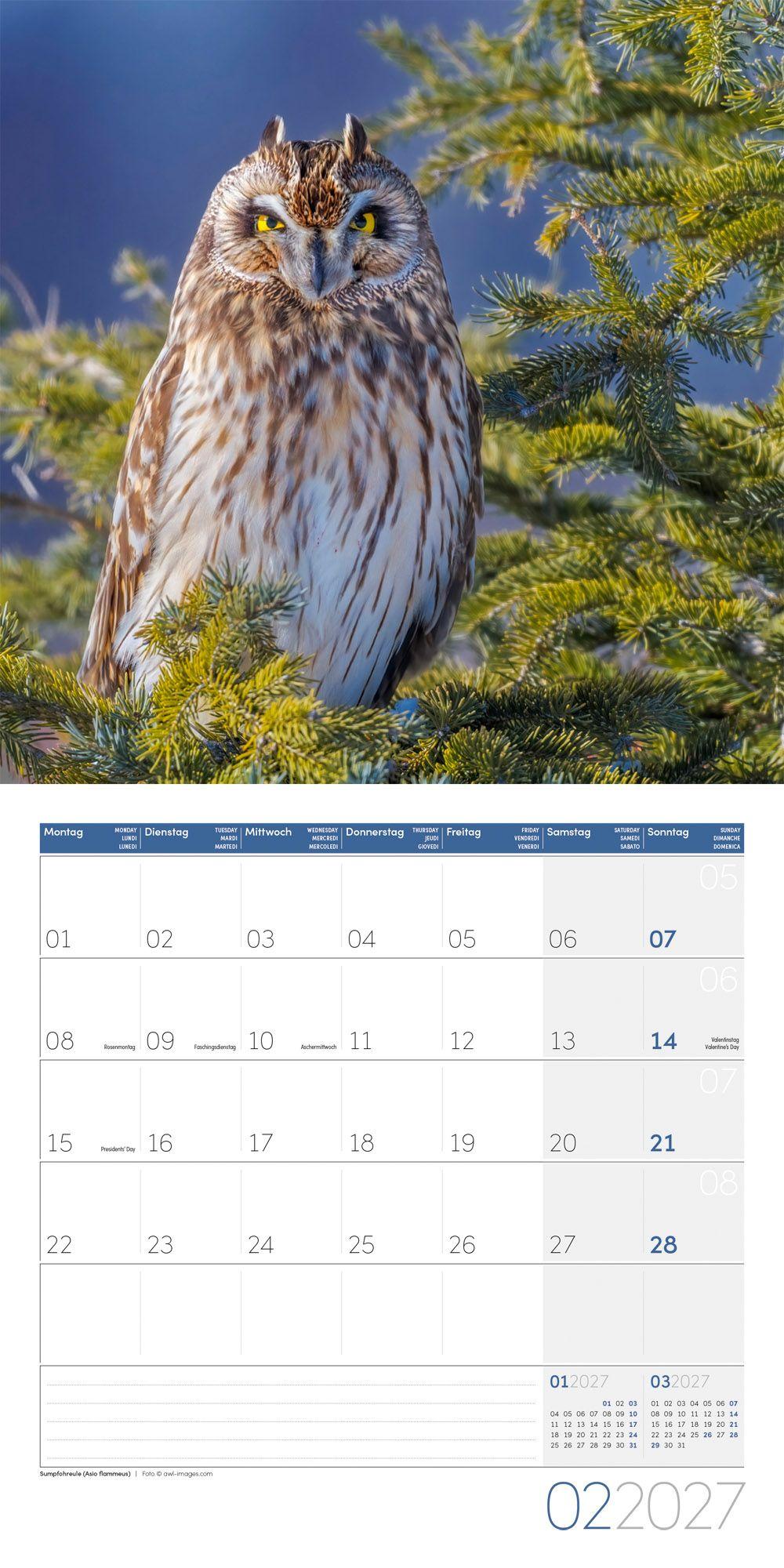 Beispielinhalt (Bild) Eulen Kalender 2027 - 30x30 - Art12