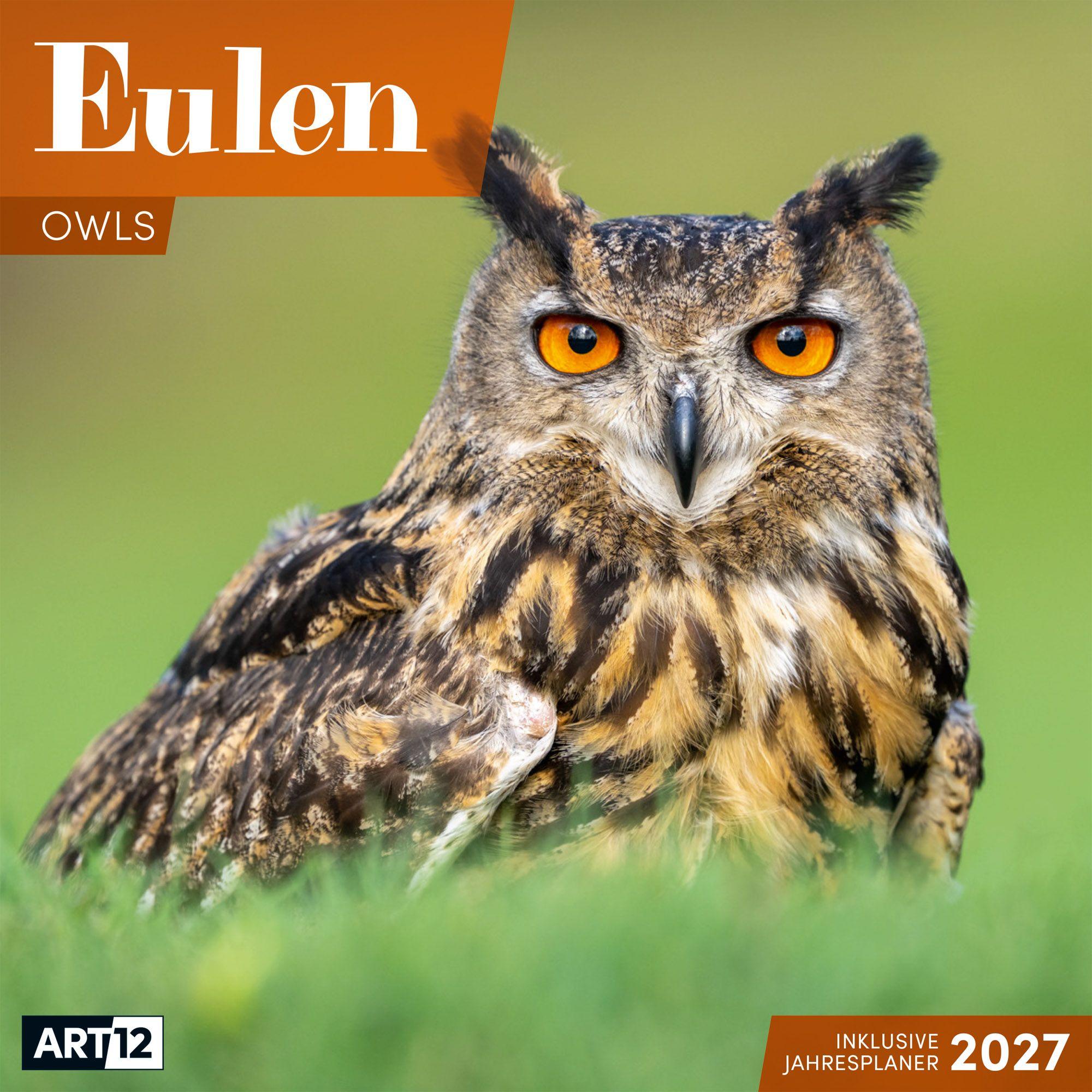 Vorderes Coverbild Eulen Kalender 2027 - 30x30 - Art12